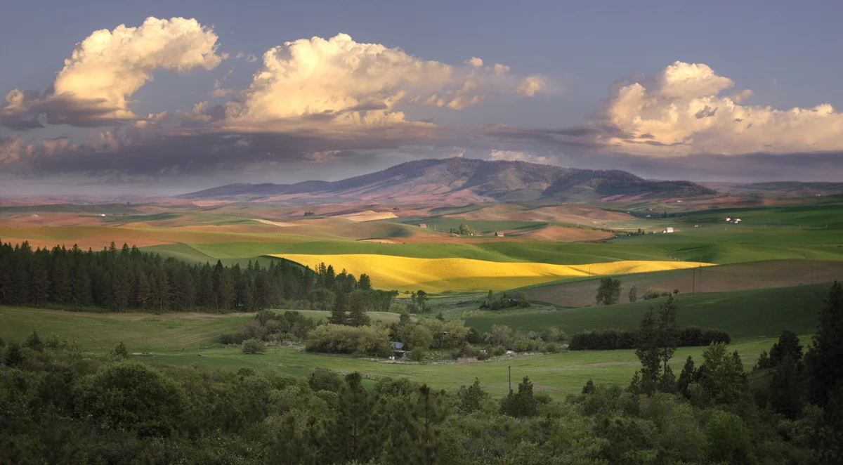 Kamiak Butte Morning II.jpg