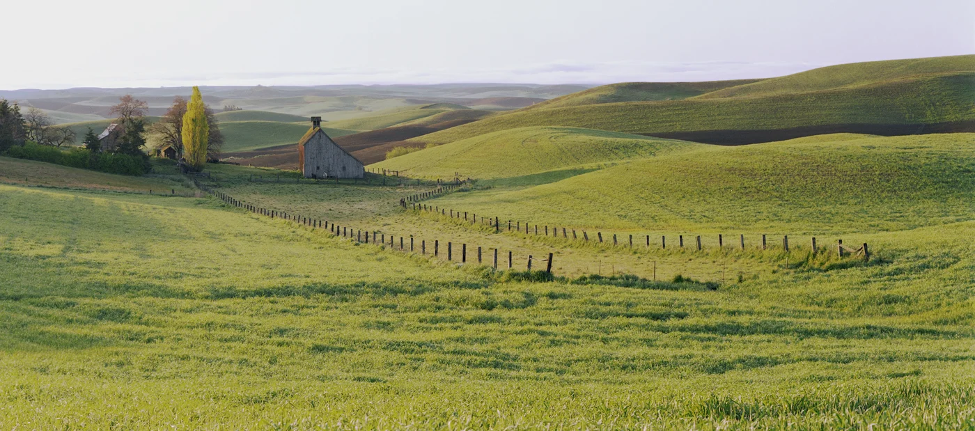 Palouse barn spring.jpg