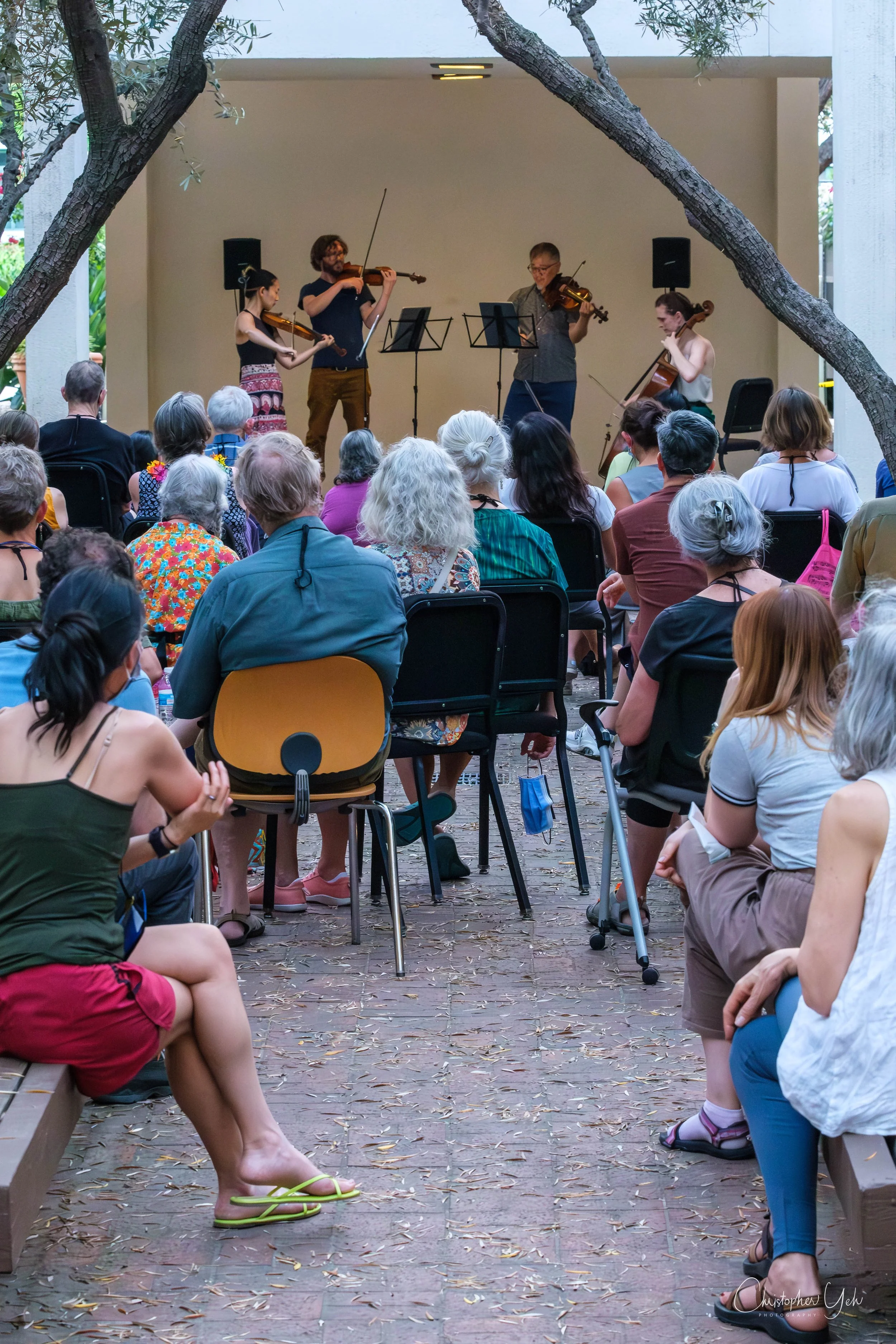 Del Sol Quartet in concert