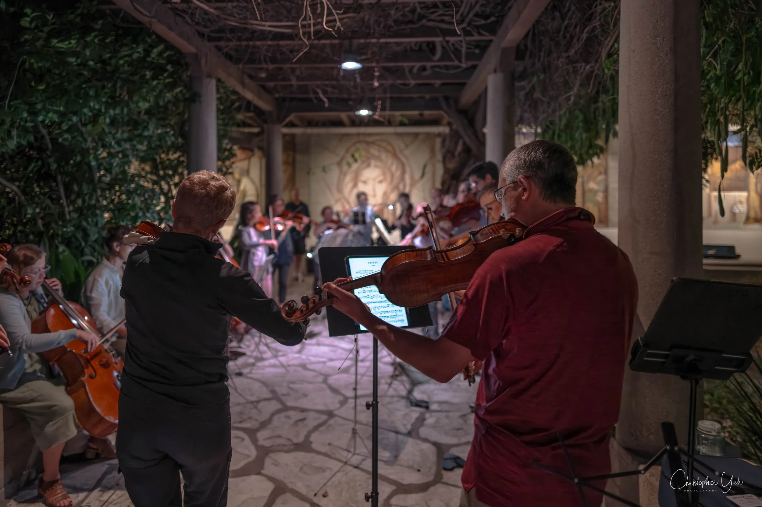 Midenight Mendelssohn