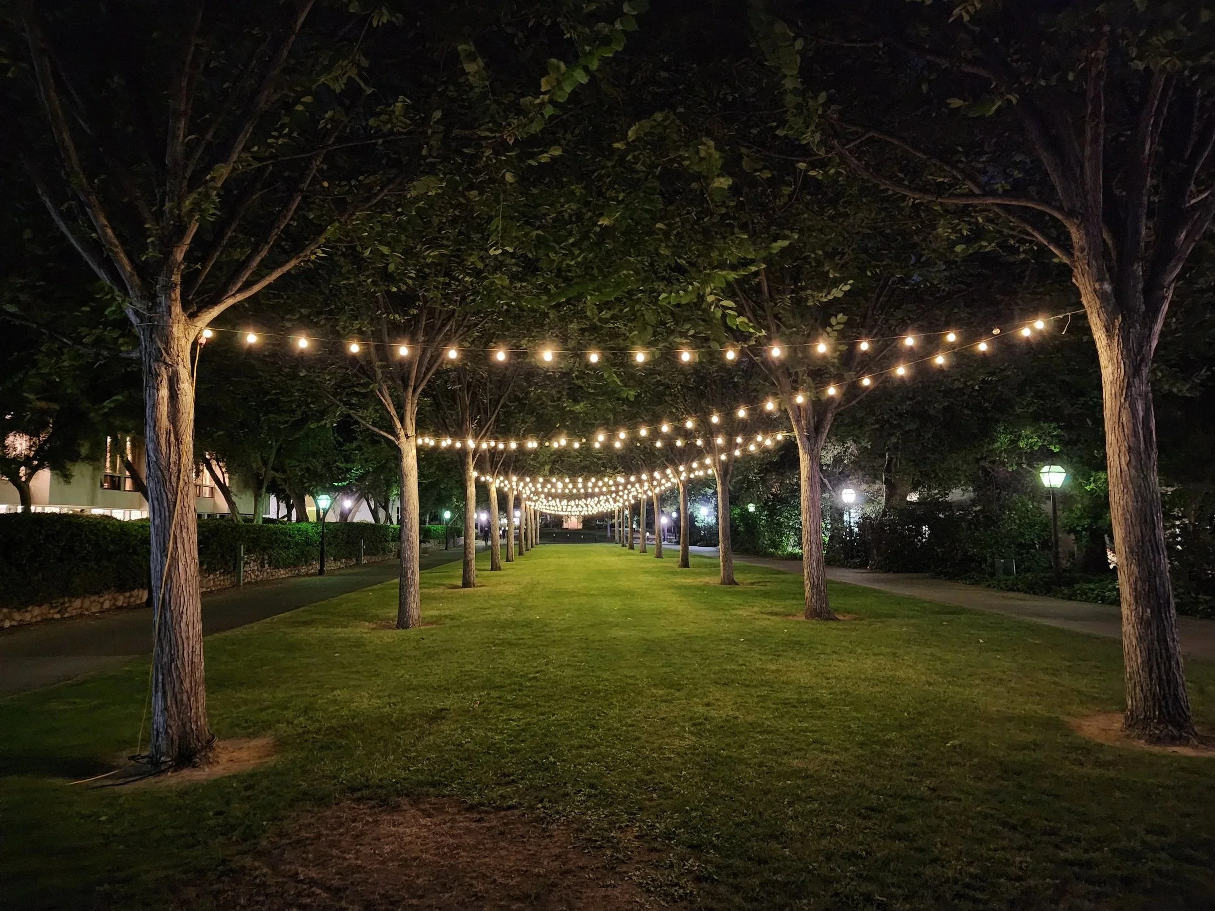 Nighttime at Scripps