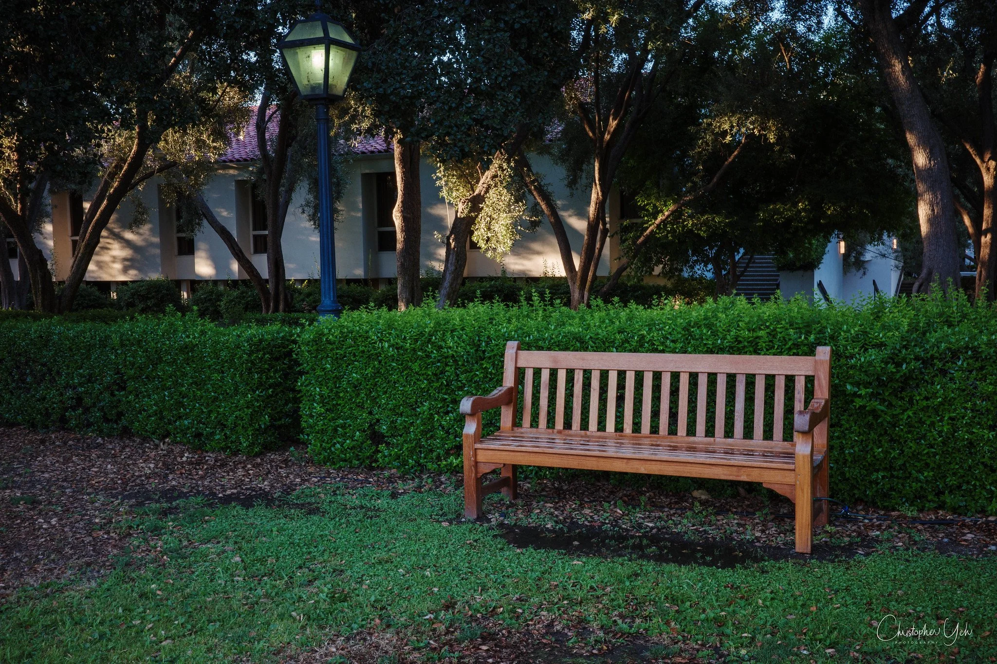 Scripps Bench