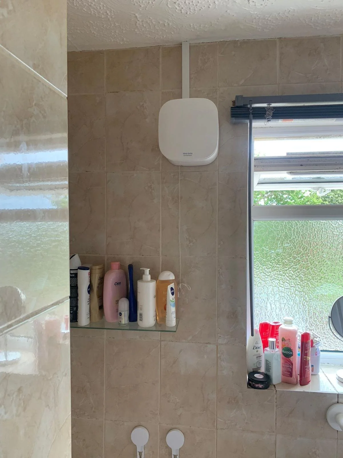 Bathroom wall with a white wireless speaker, a glass shelf holding various toiletries, and a window with frosted glass and view of green foliage outside.