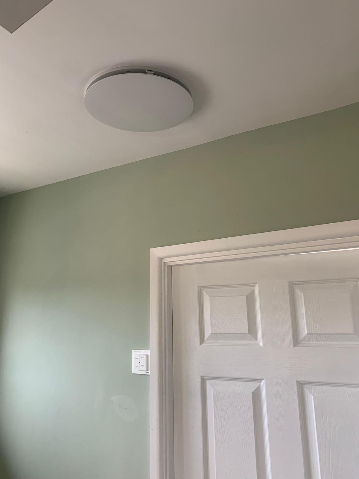 Ceiling light fixture above a white door with light green walls.