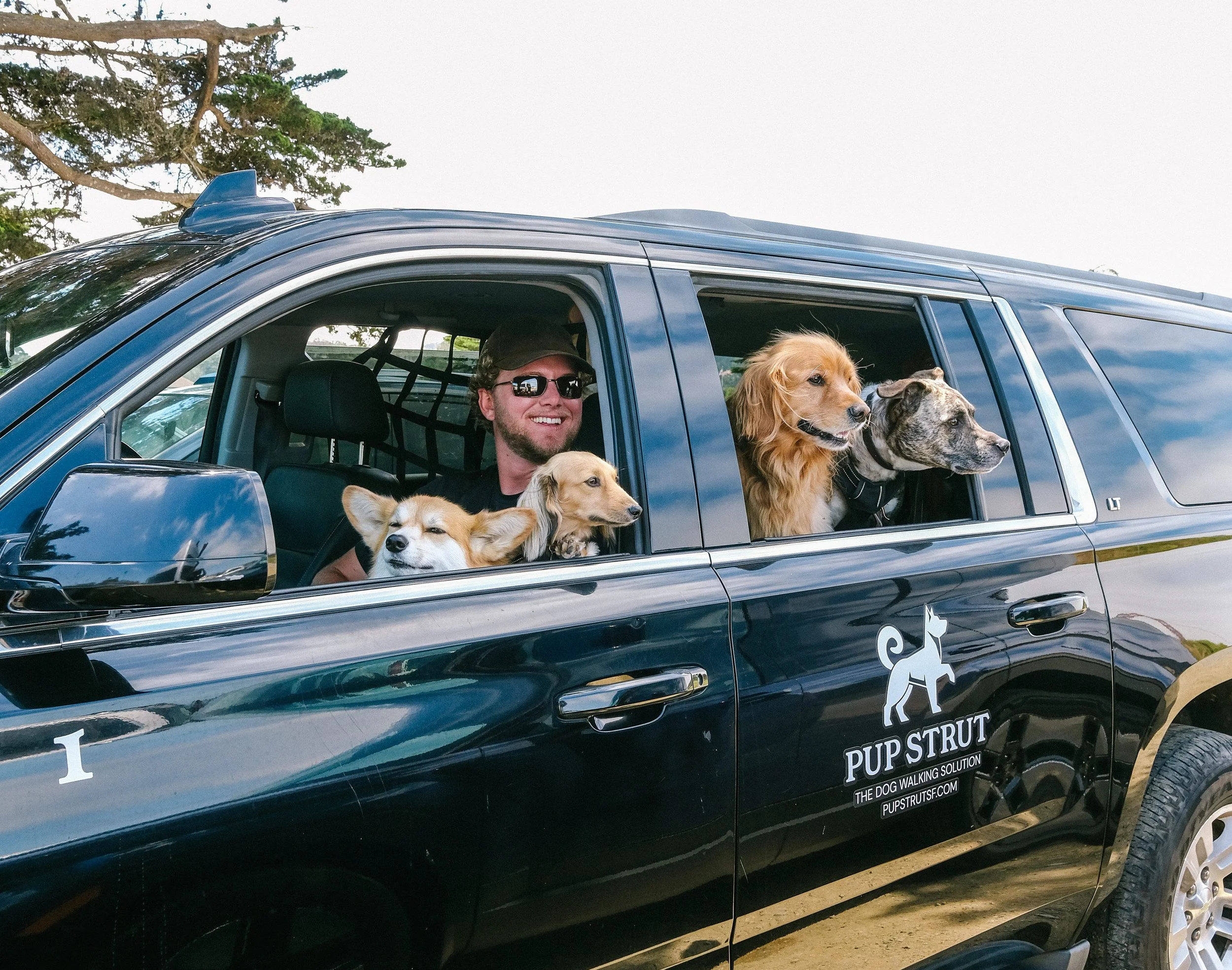 How to Choose the Right Dog Walker in San Francisco