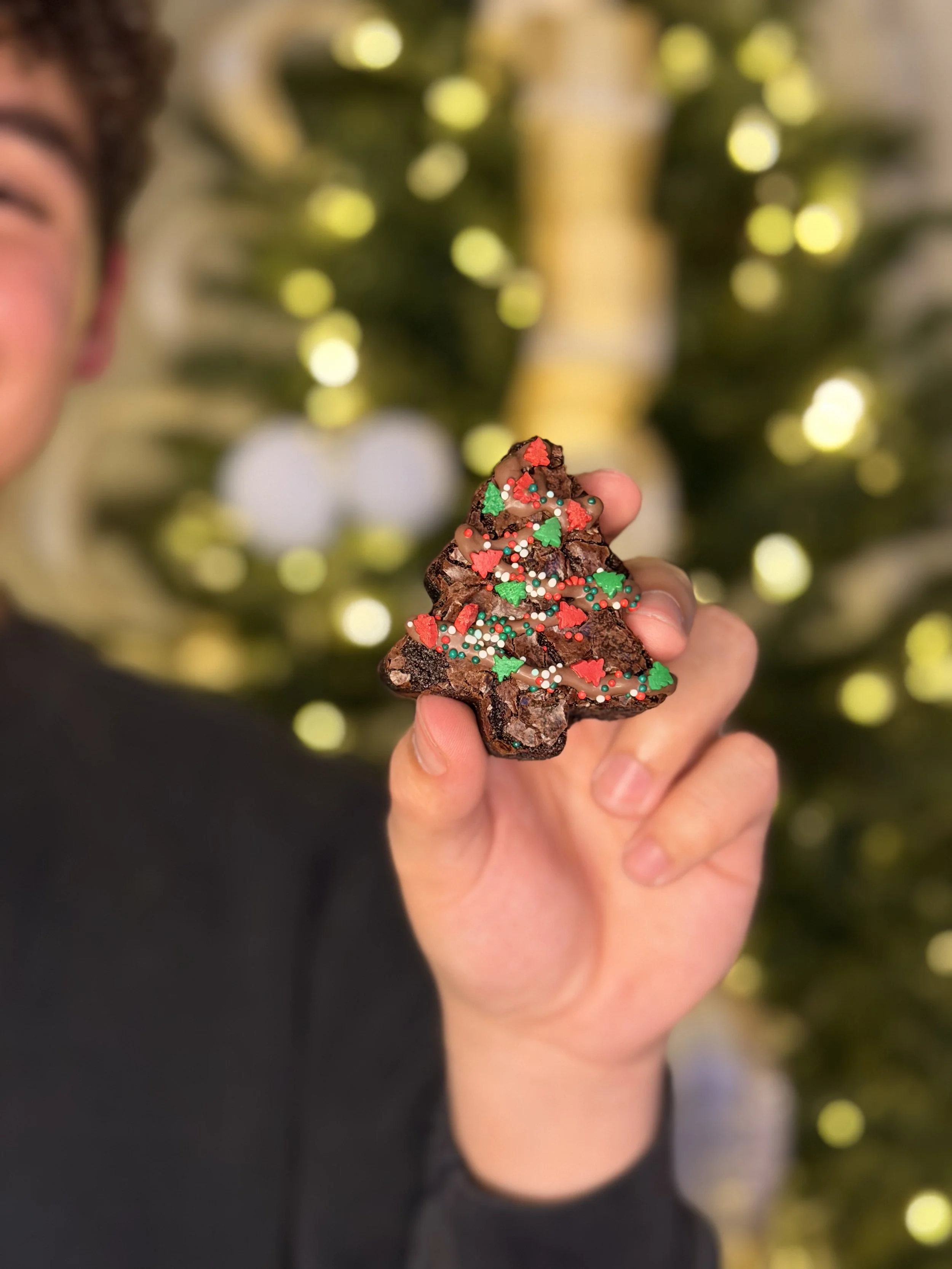 Person holding a chocolate Christmas tree-shaped cookie decorated with red, green, white, and multicolored sprinkles, with a blurred decorated Christmas tree in the background.