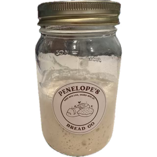 Penelope’s Little Starter