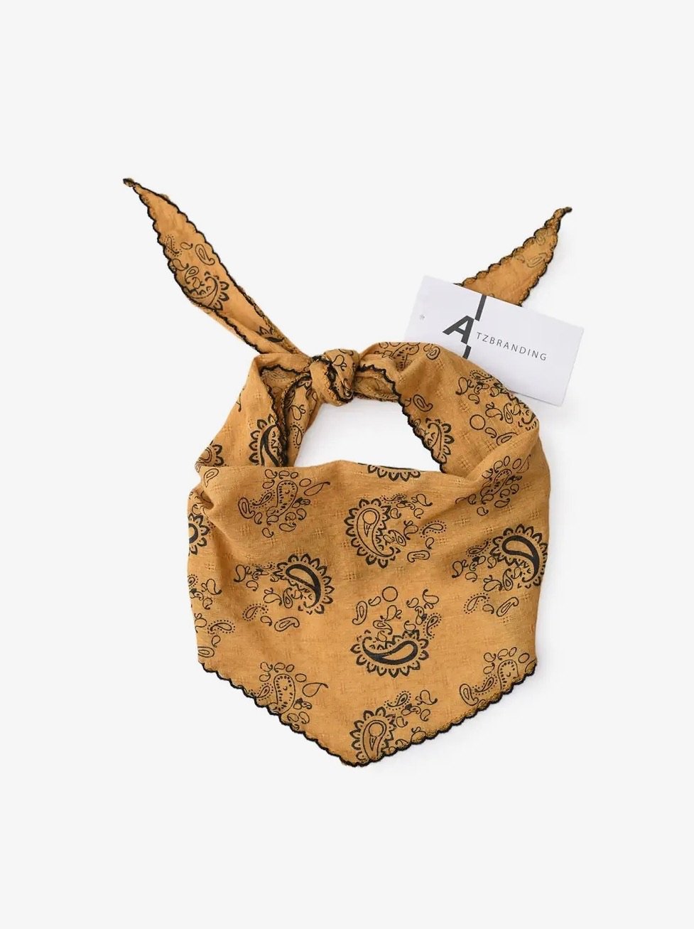 Scarvii Paisley Print Triangle Scarf with Lace Edge