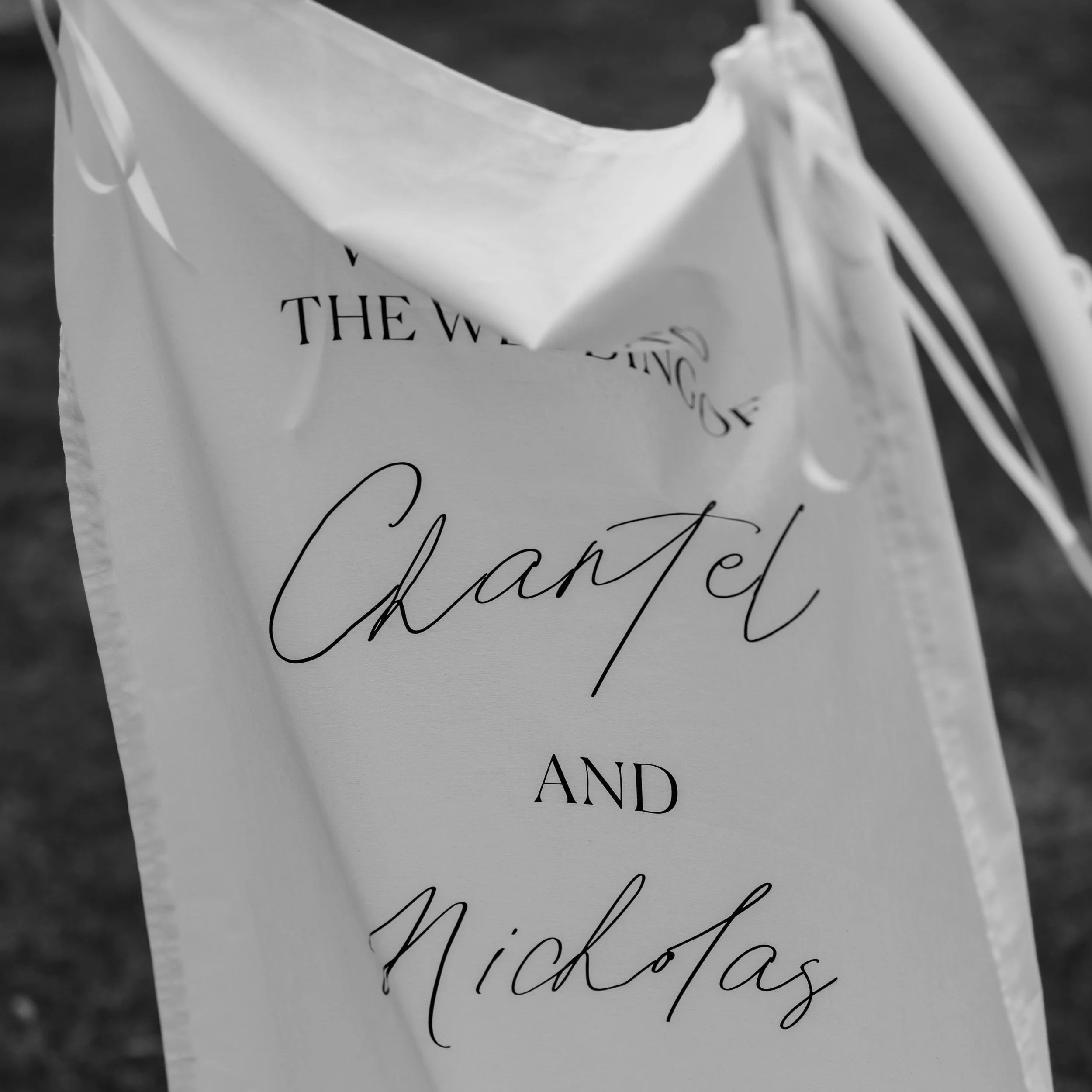 Chantel+%26+Nick%27s+Wedding-292.jpg