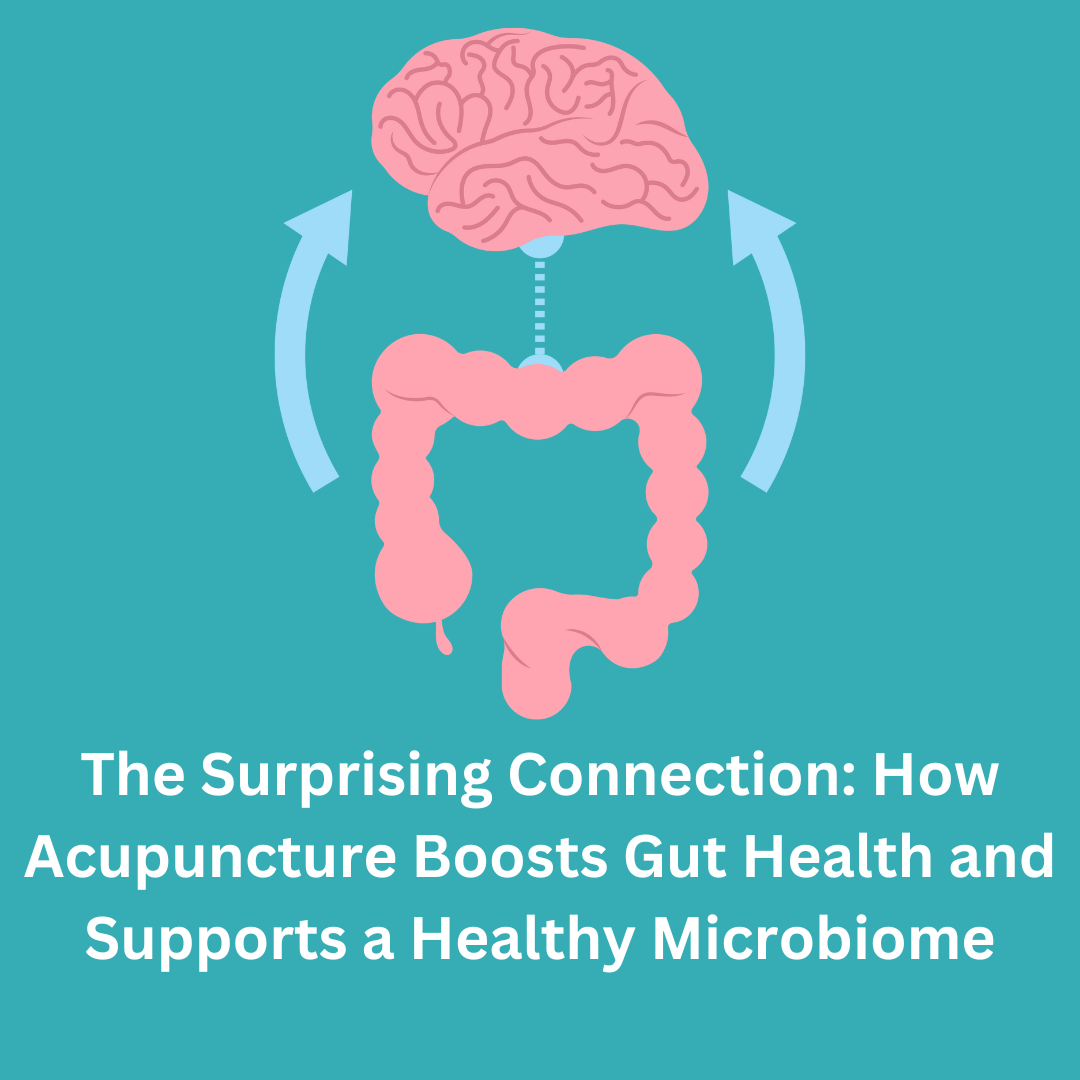 The Surprising Connection: How Acupuncture Boosts Gut Health and Supports a Healthy Microbiome