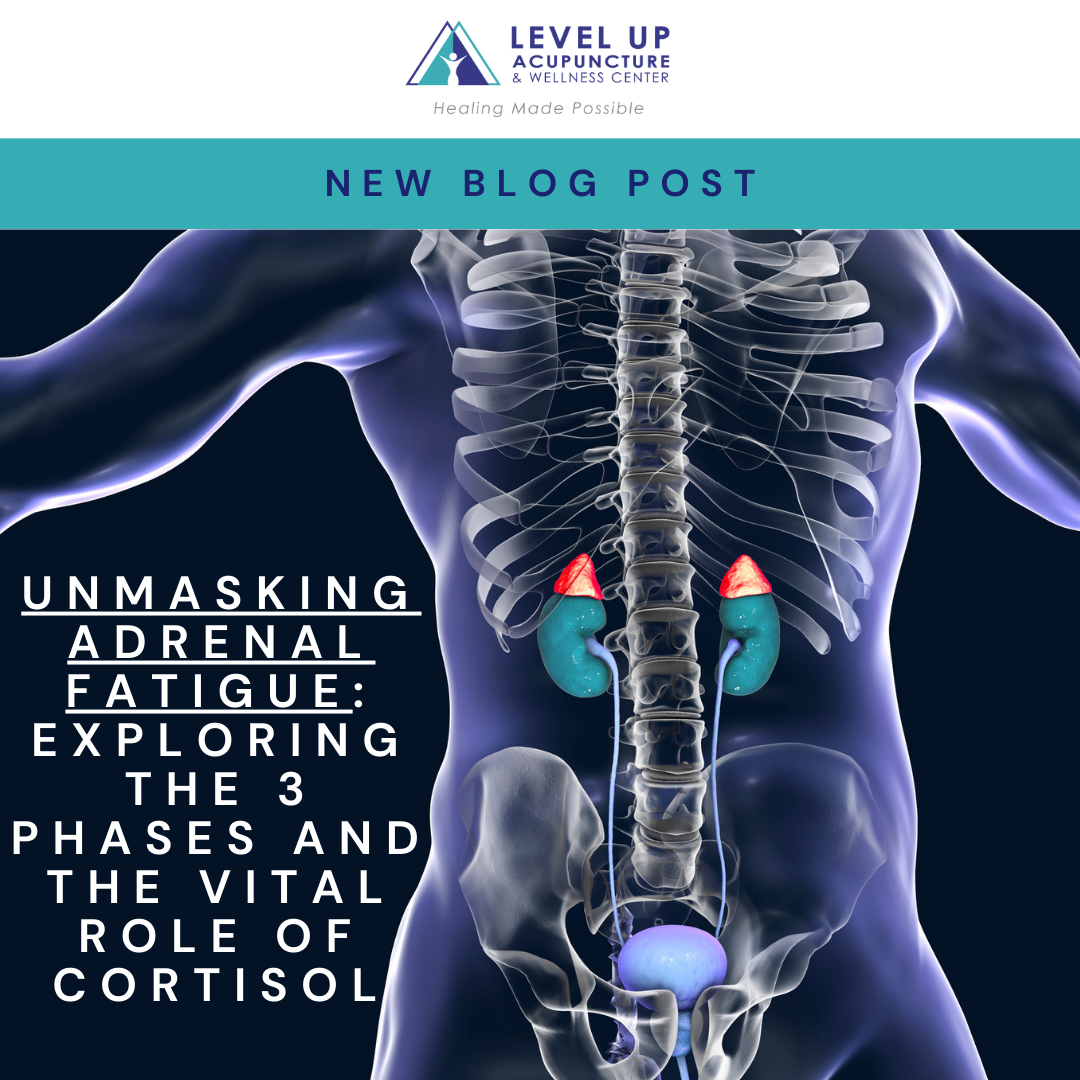 Unmasking Adrenal Fatigue: Exploring the 3 Phases and the Vital Role of Cortisol