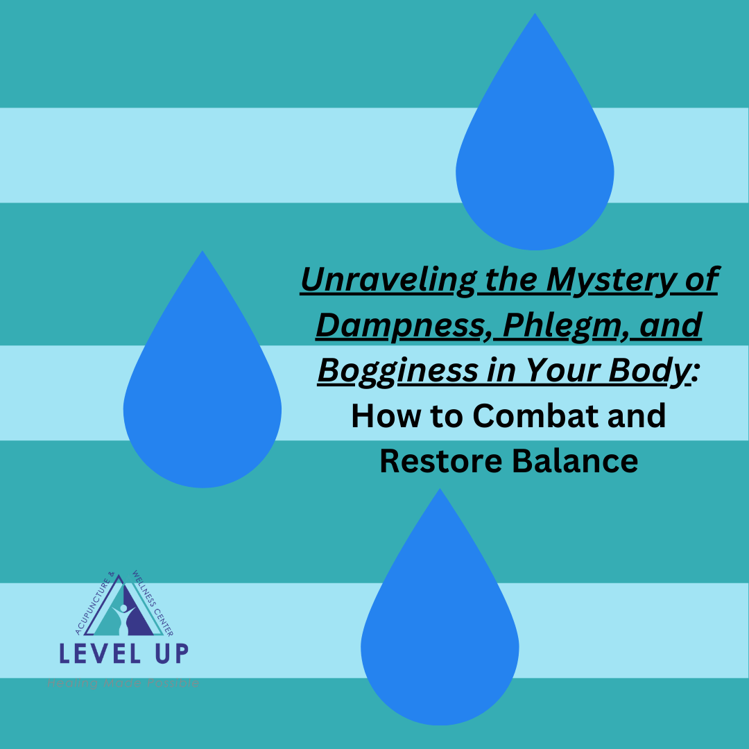 Unraveling the Mystery of Dampness, Phlegm, and Bogginess in Your Body: How to Combat and Restore Balance