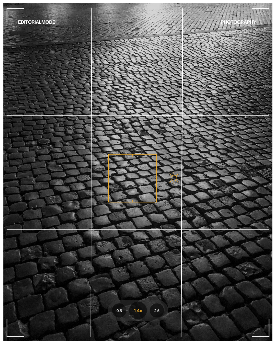 Black and white photo of cobblestone street, displayed on a camera screen with focus and photography settings overlay.