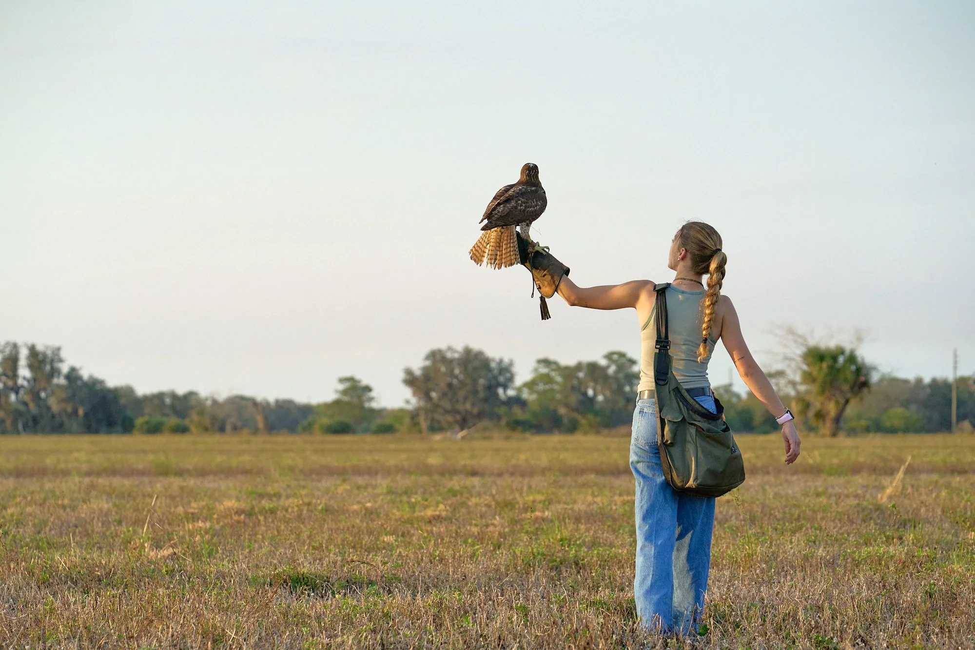 A young woman with a braid, wearing a tank top, jeans, and a crossbody bag, stands in an open field holding a bird of prey on her gloved hand, with trees and a clear sky in the background.