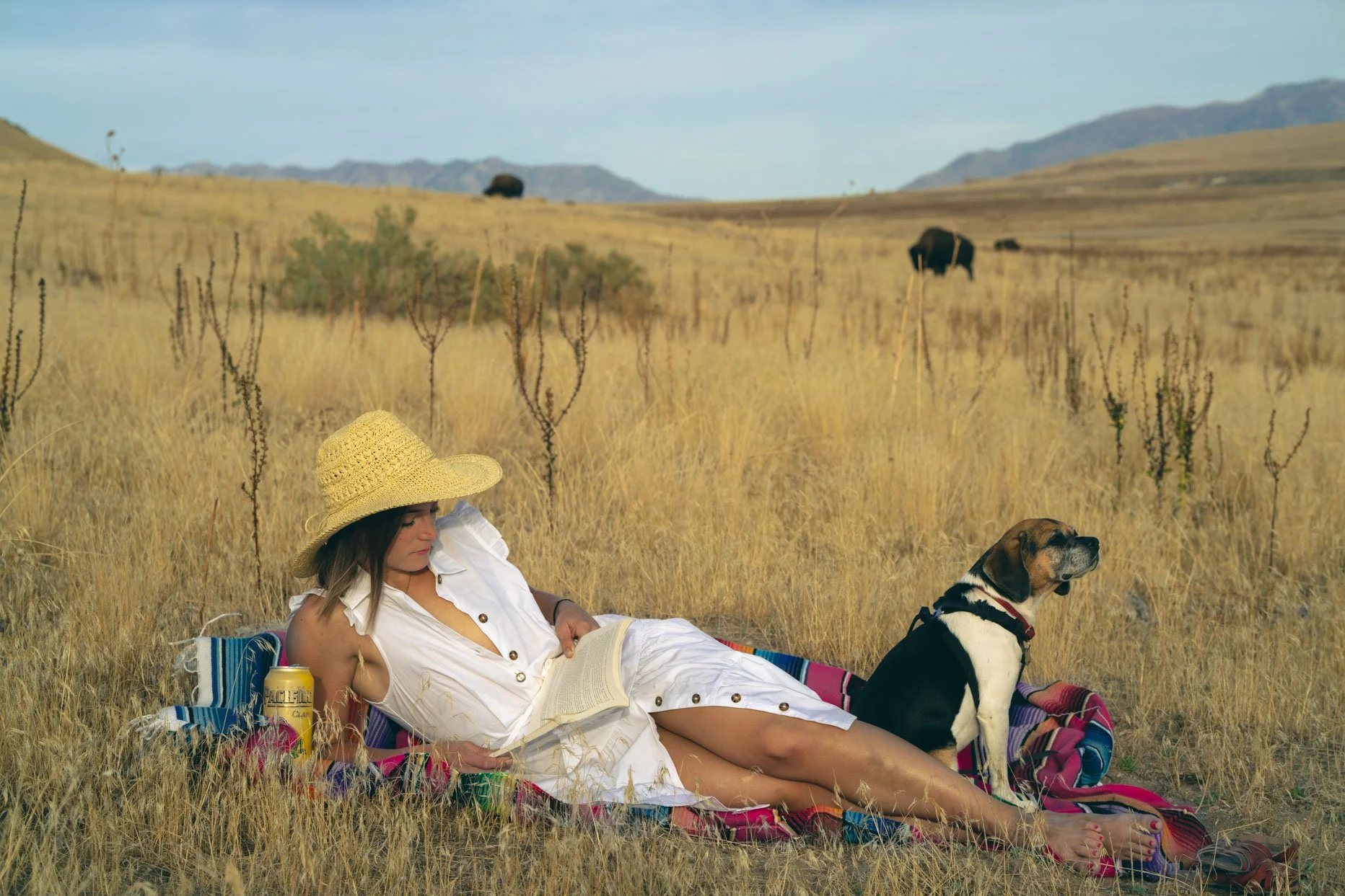 Woman lying on a colorful blanket in a dry, grassy field with a dog sitting beside her, wearing a large wide-brimmed straw hat, and other bison grazing in the distance.