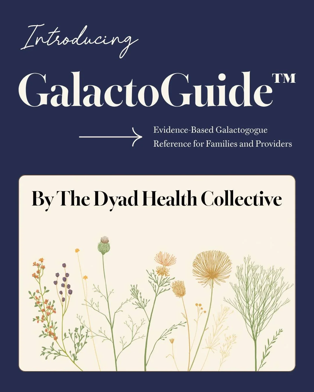 Something I've been working on for a while &mdash; and I'm so excited to finally share it! 🌿

Introducing GalactoGuide&trade; &mdash; a free, evidence-based reference app covering galactogogues (substances that may increase milk supply) and galactof
