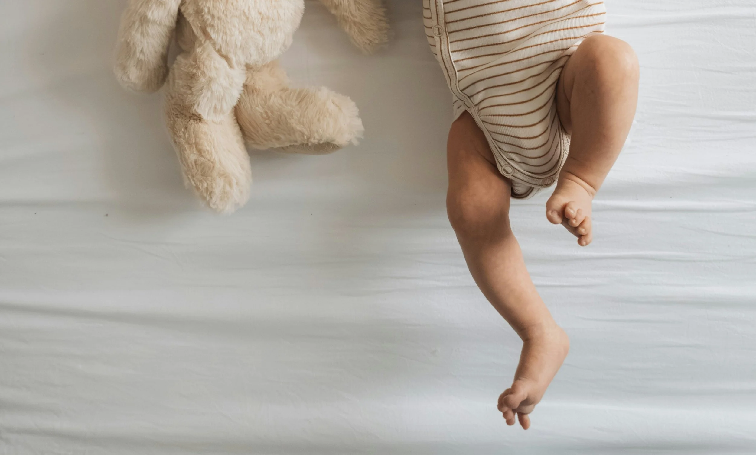 Baby and Stuff Animal