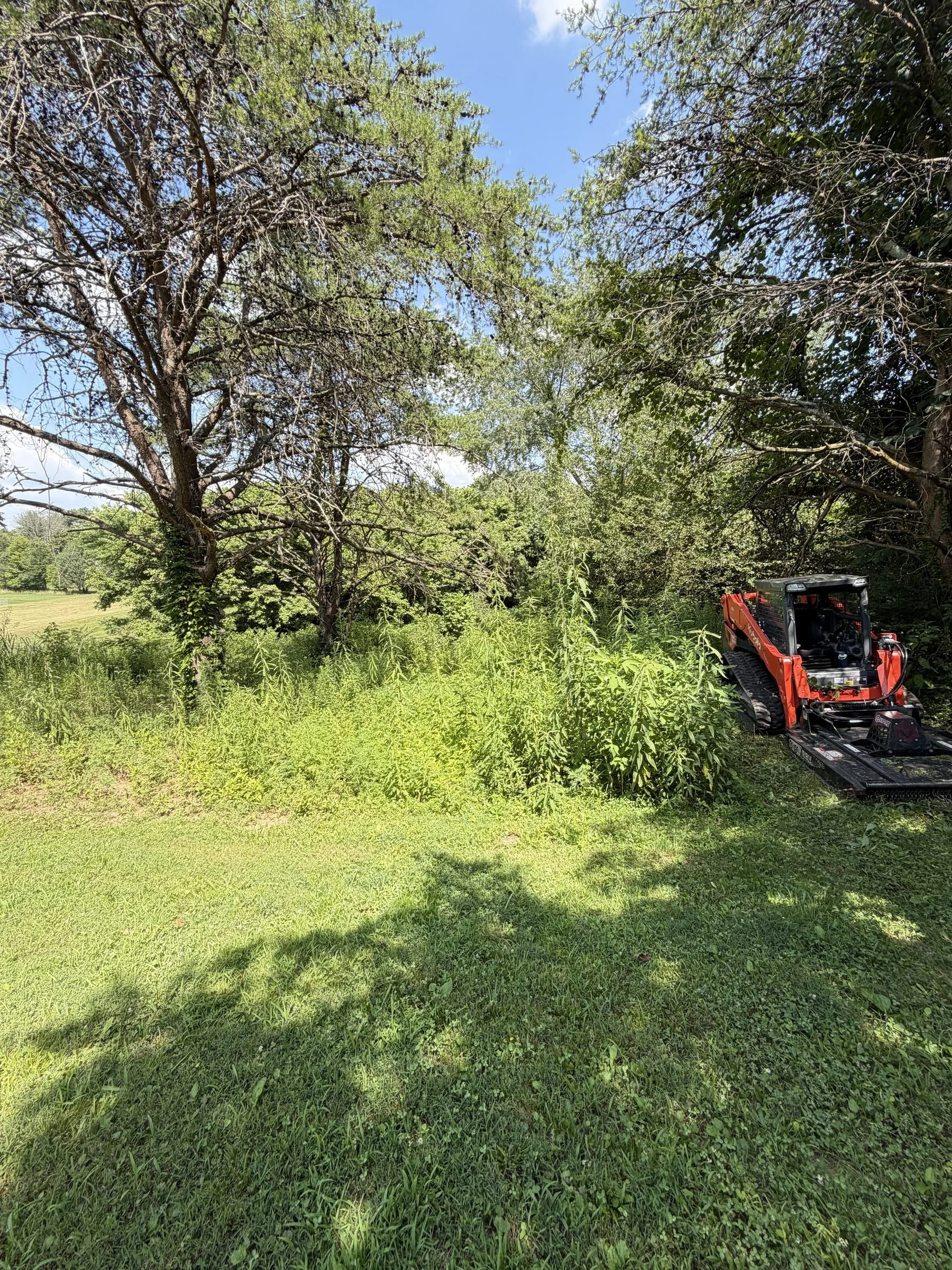 Forestry mulcher clearing brush along a tree line in White County, TN