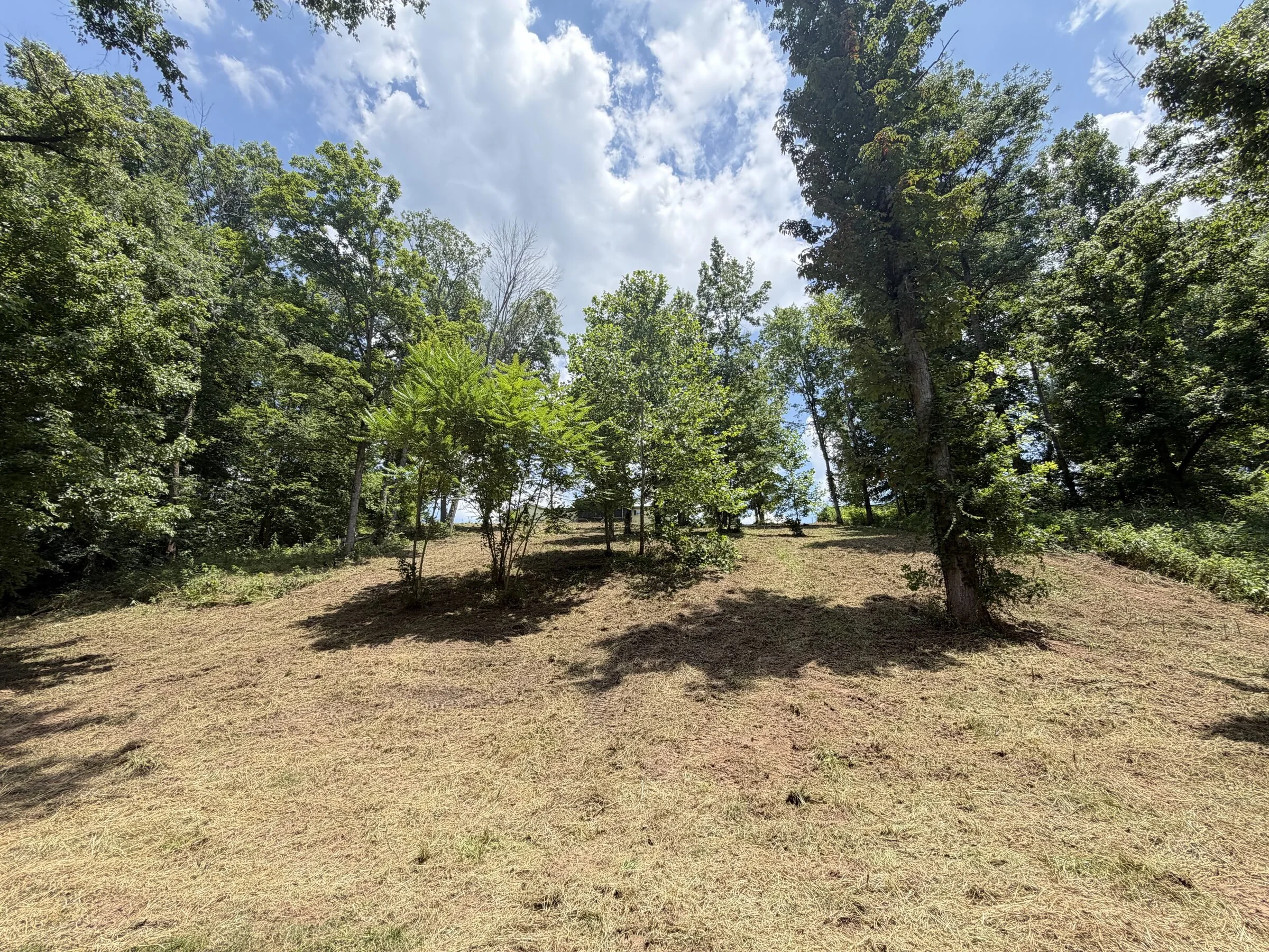 Freshly cleared and mowed lot with shade trees in Warren County, TN