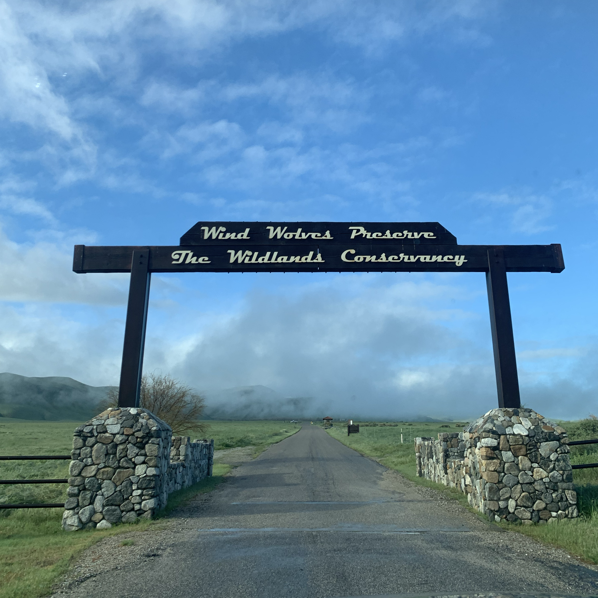 Community Hive New Year Hike