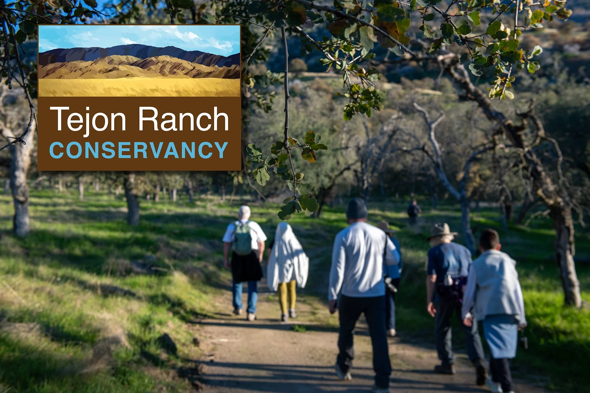 Community Hive Hike on Tejon
