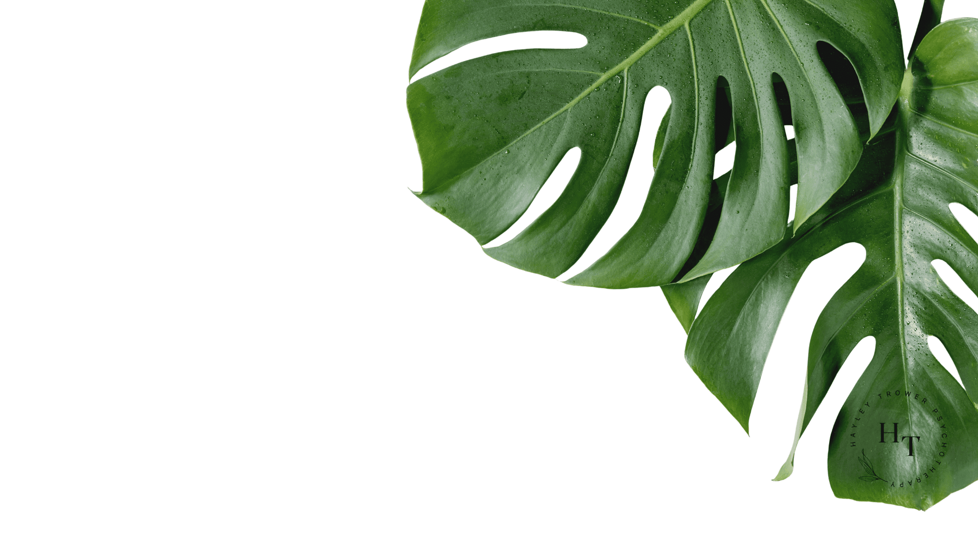 Music Listening for Highly Sensitive People