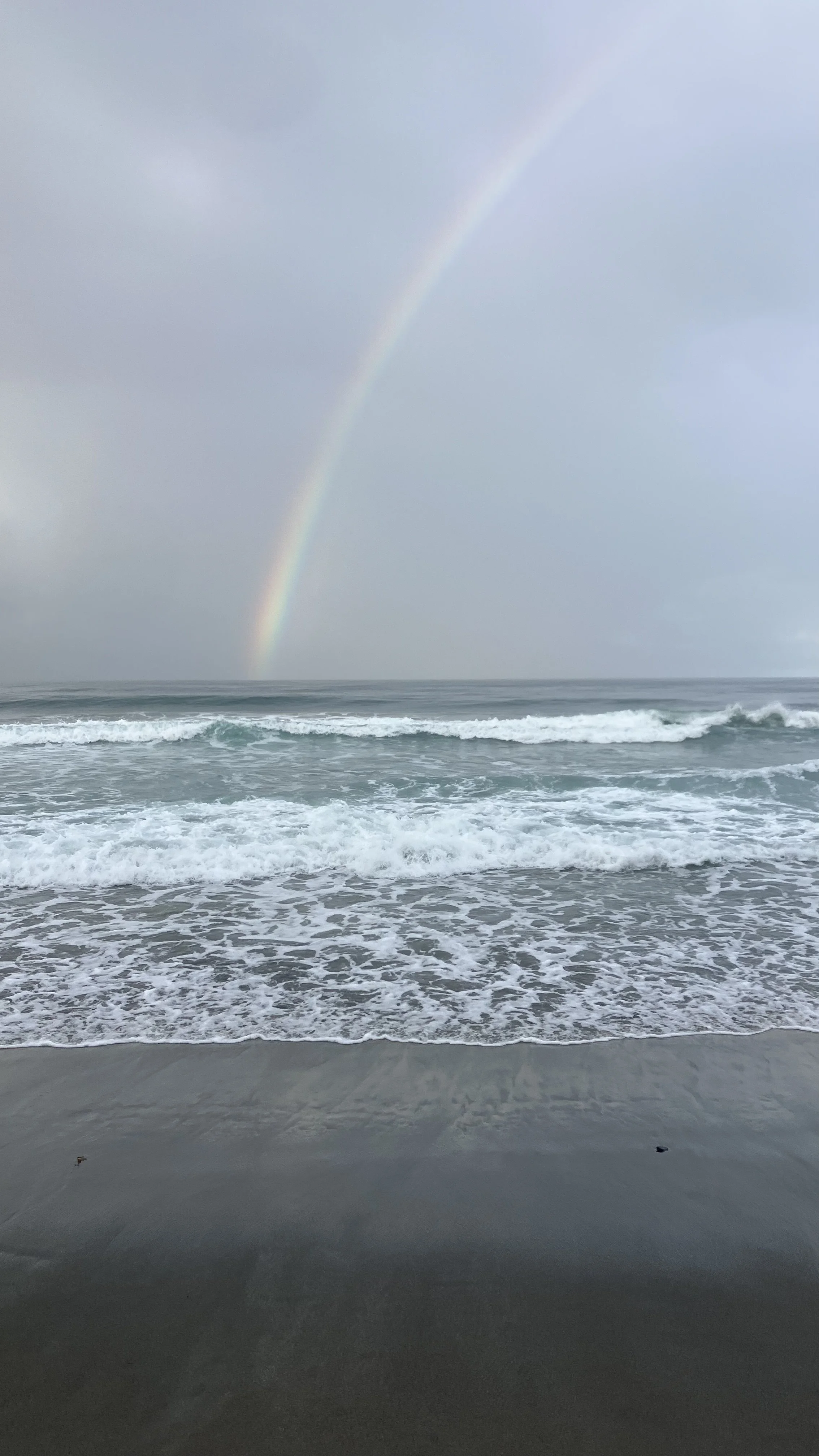 i was invited by my creator.