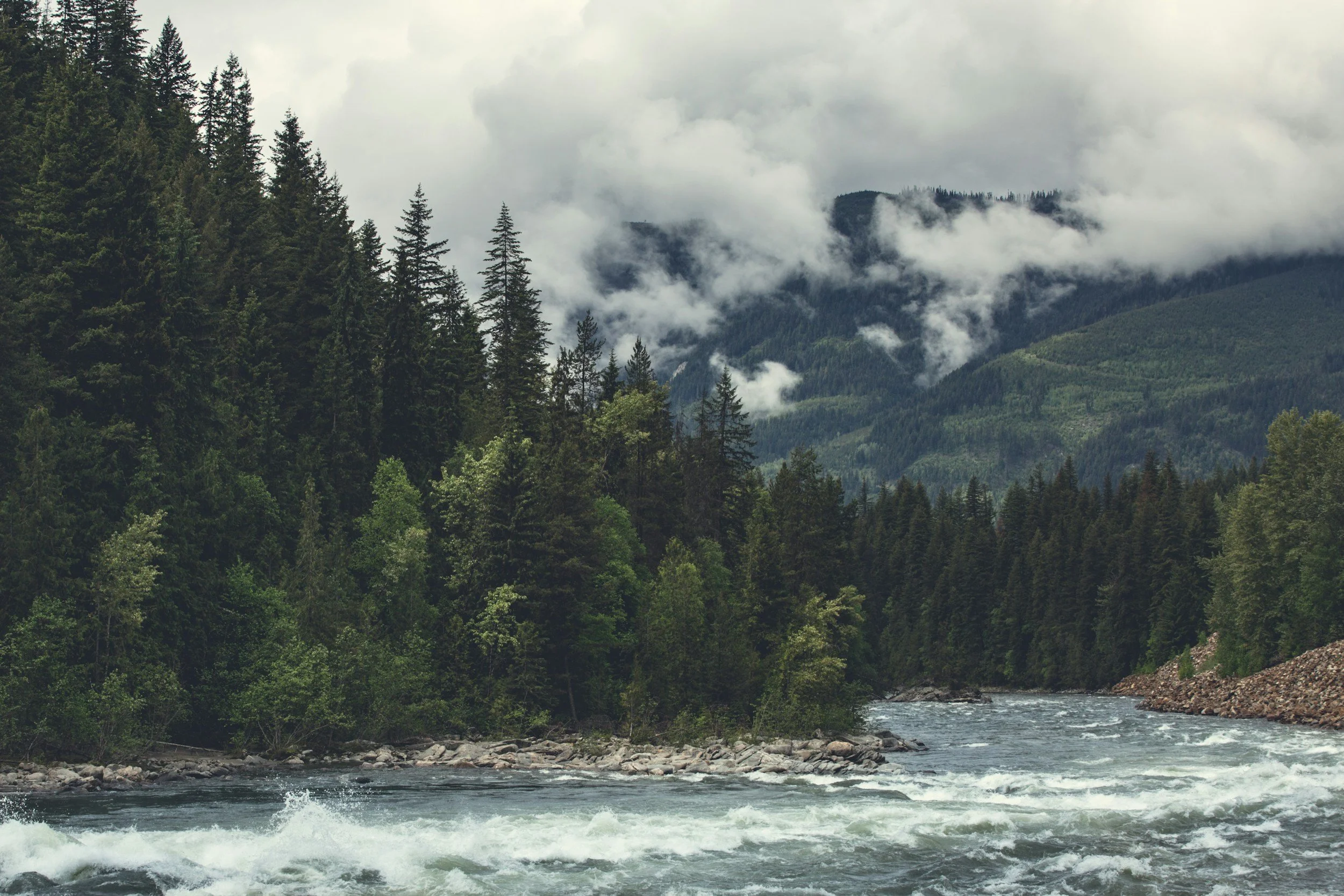 A river flowing through a lush green BC forest with mountains and cloudy skies in the background.