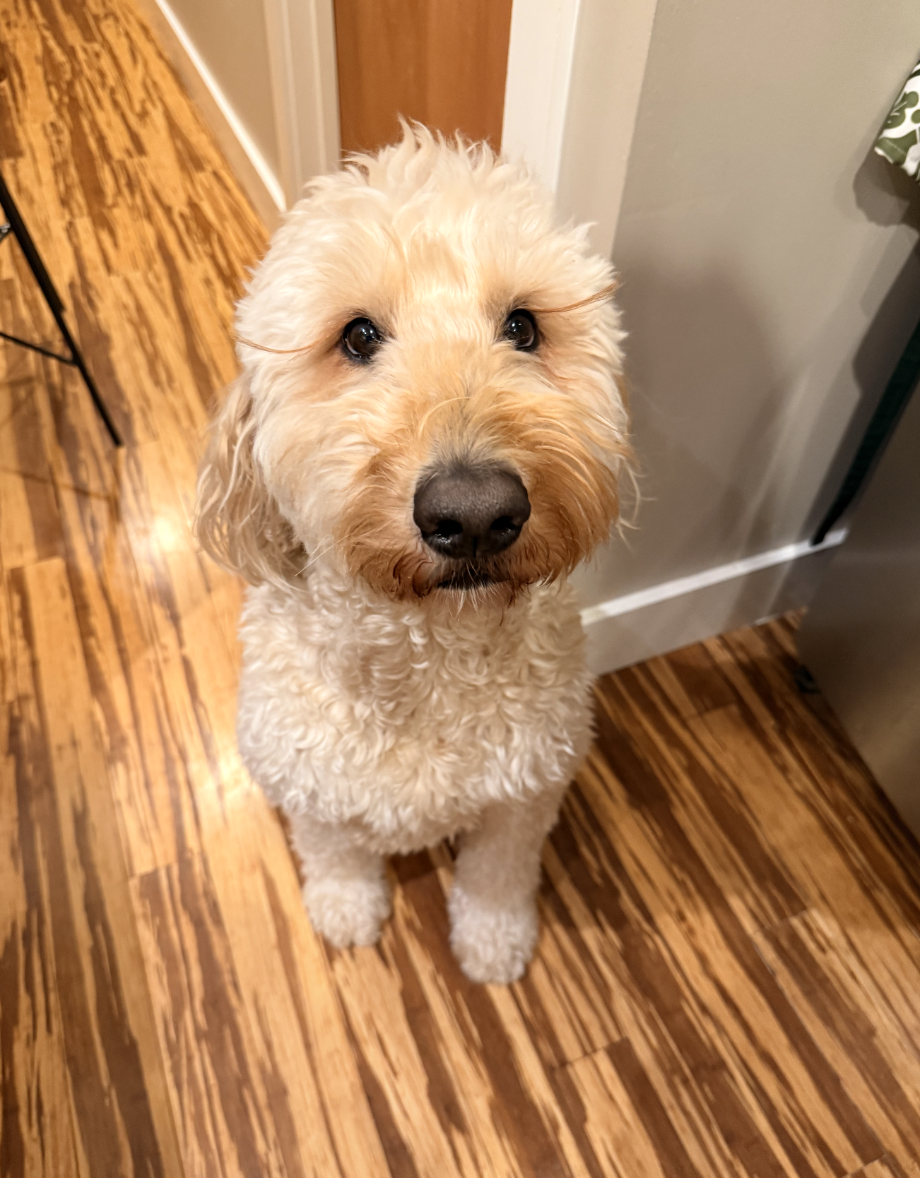 Screenshot 2026-02-03 at 10.24.38 PM.png