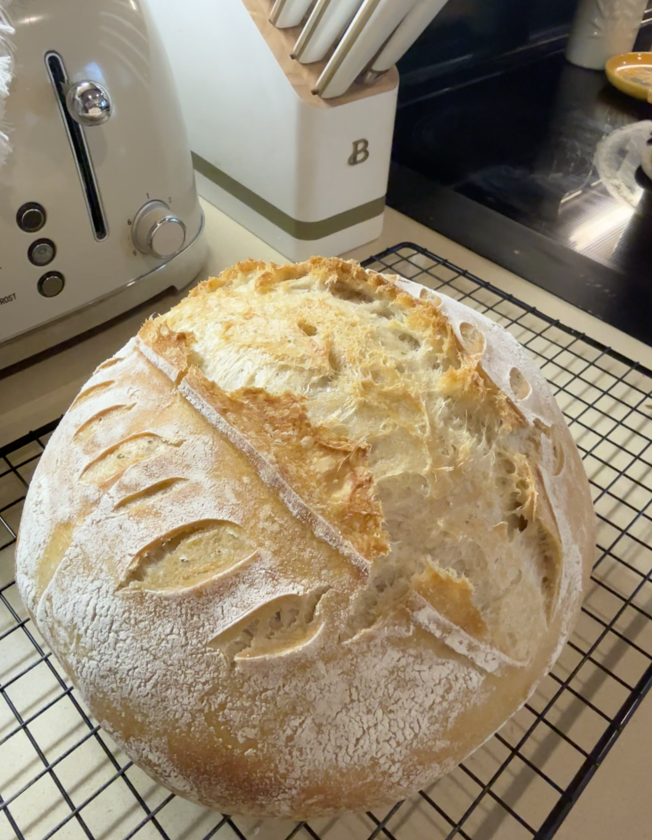 Screenshot 2026-02-03 at 10.24.25 PM.png