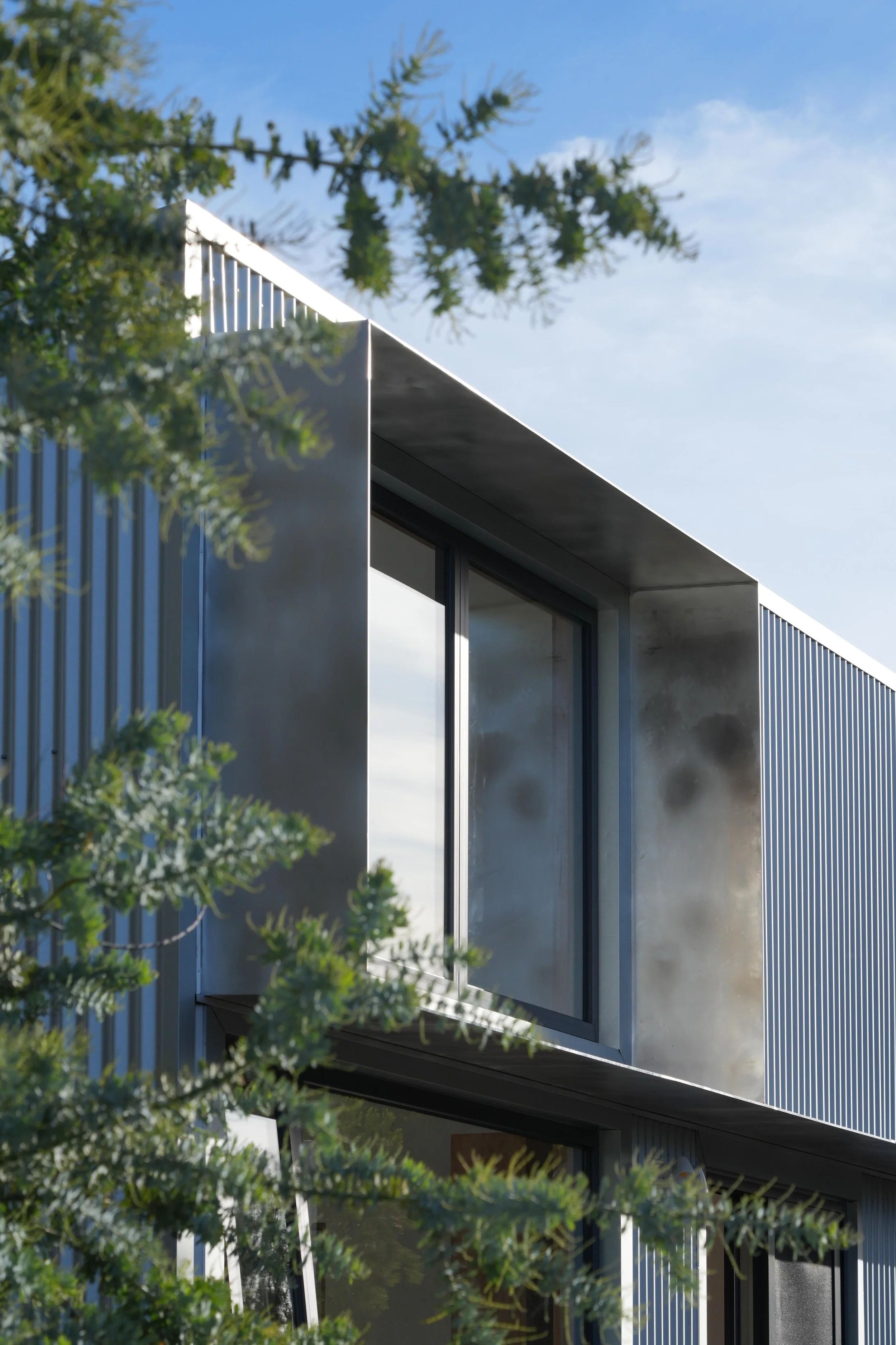 Scamander dwelling LR-8.JPG