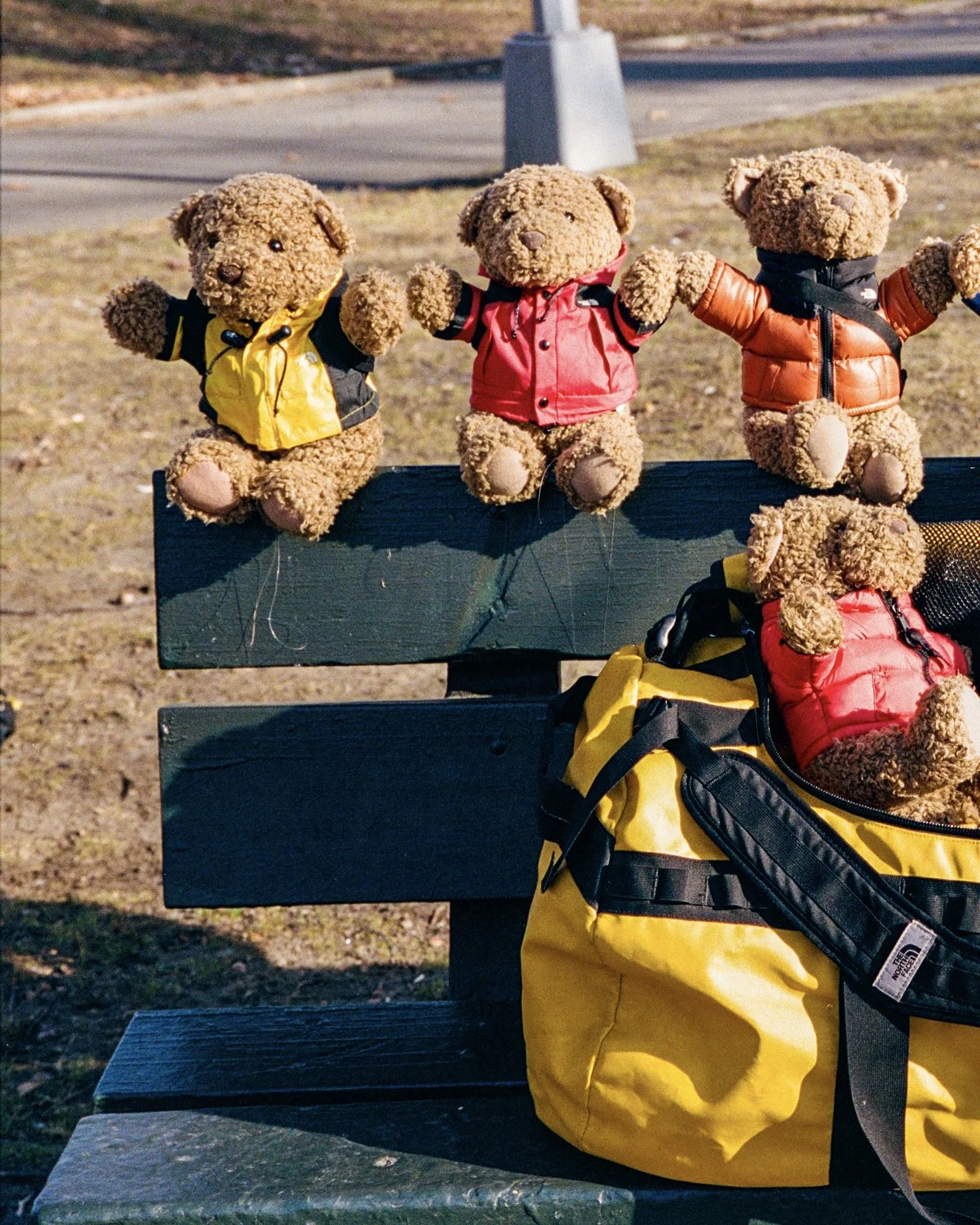 Soulese bear_carousel_06.jpg