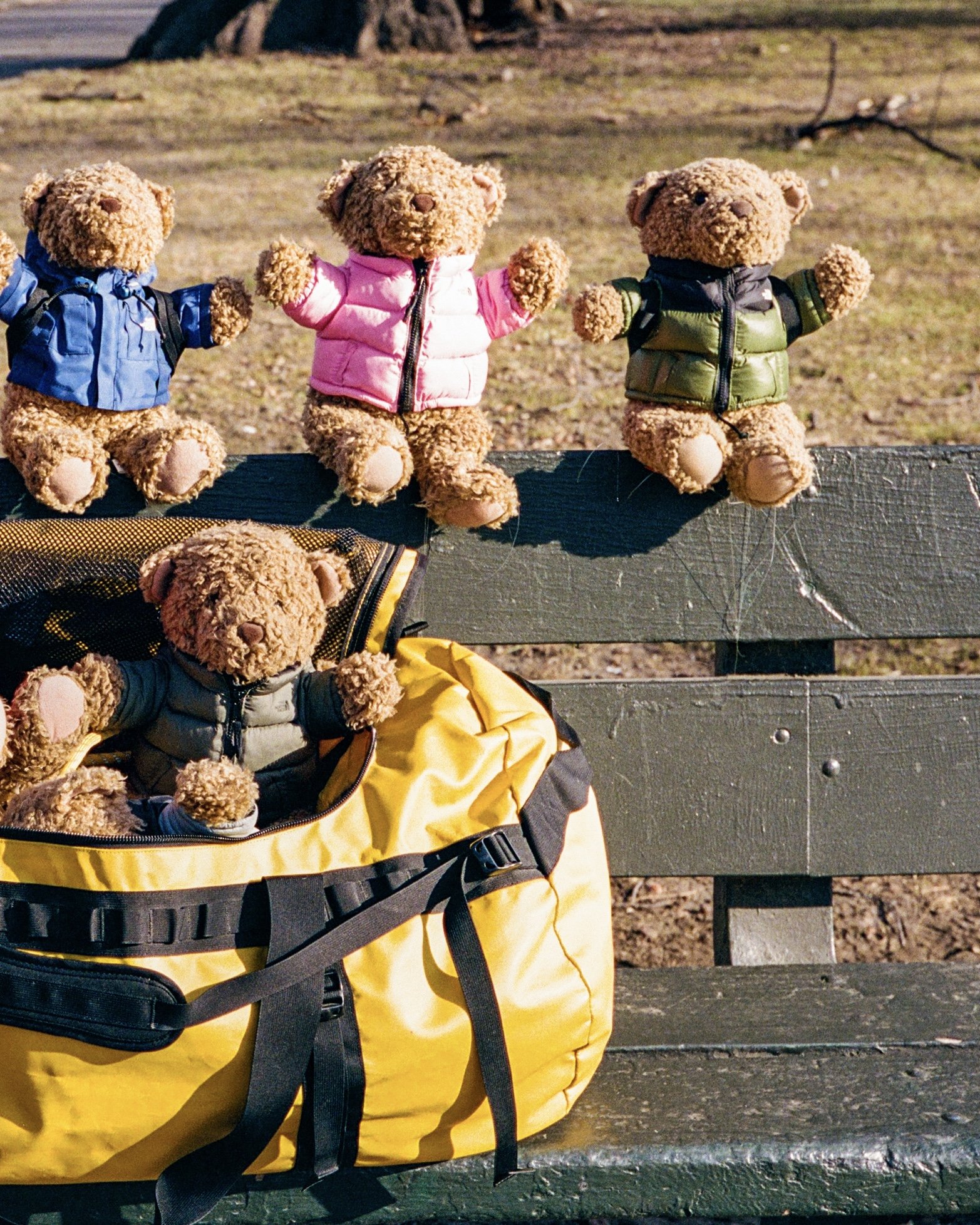 Soulese bear_carousel_07.jpg