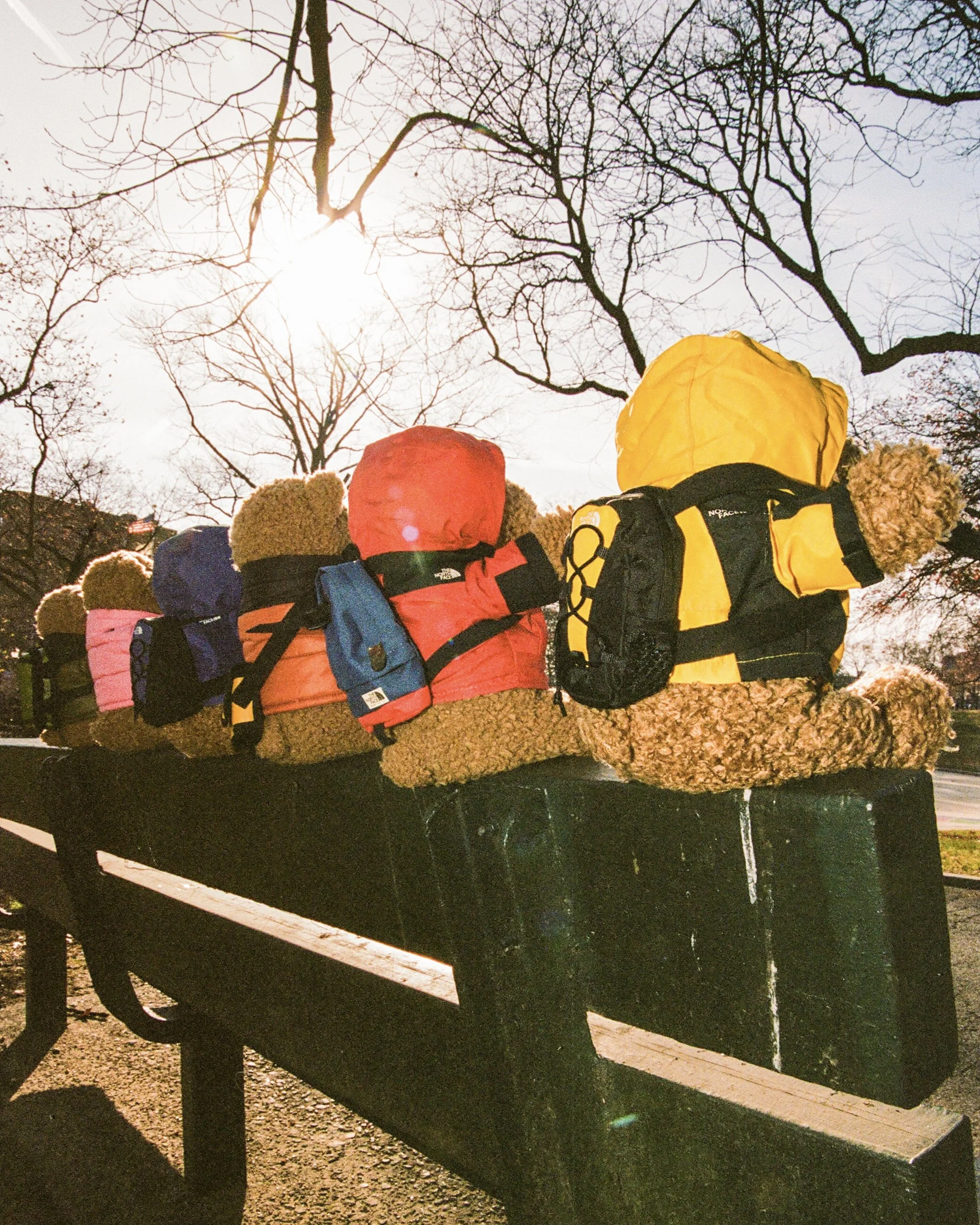 Soulese bear_carousel_02.jpg