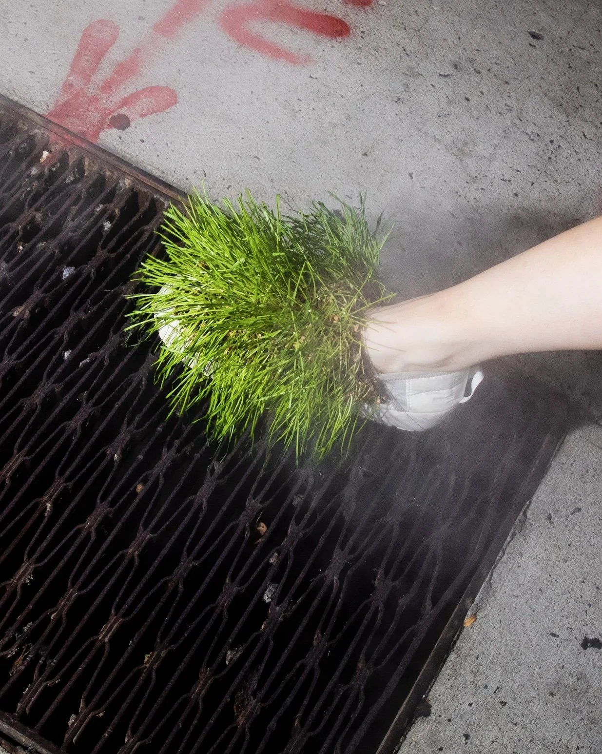 091324_ORIGINAL_ROSE_NORTH_FACE_192 copy.jpg