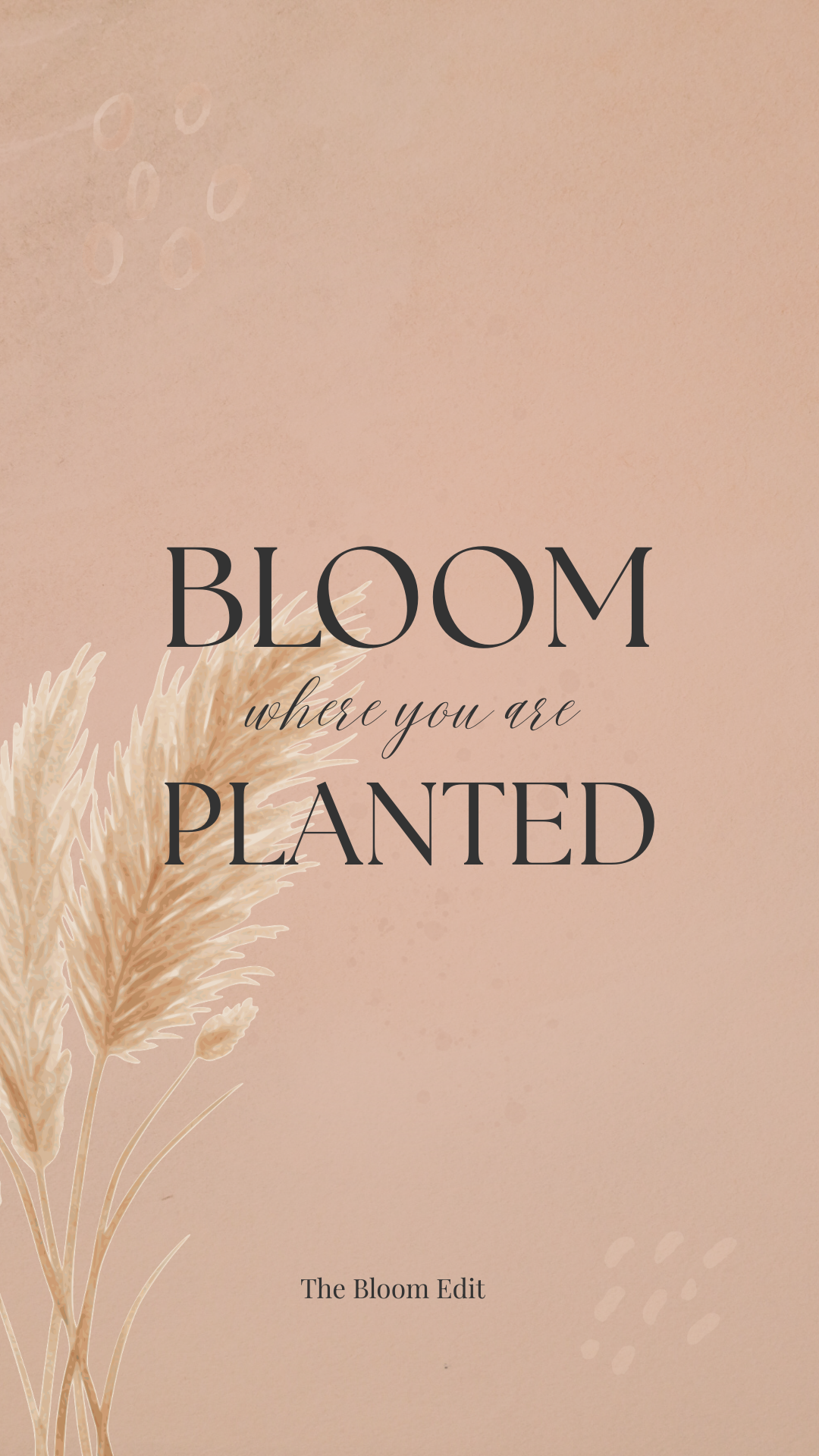 Bloom where you are planted Phone Wallpaper