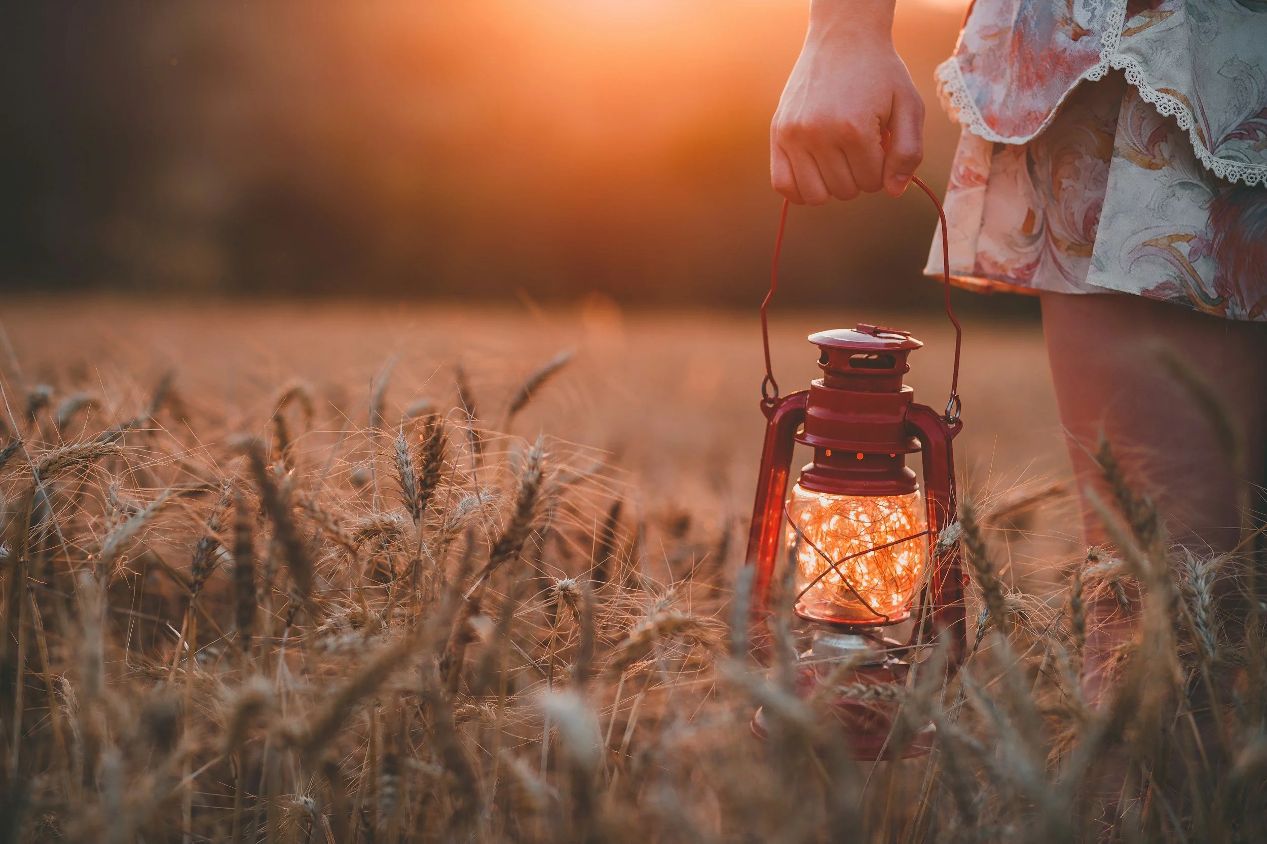 Person holding a lit lantern in a wheat field during sunset