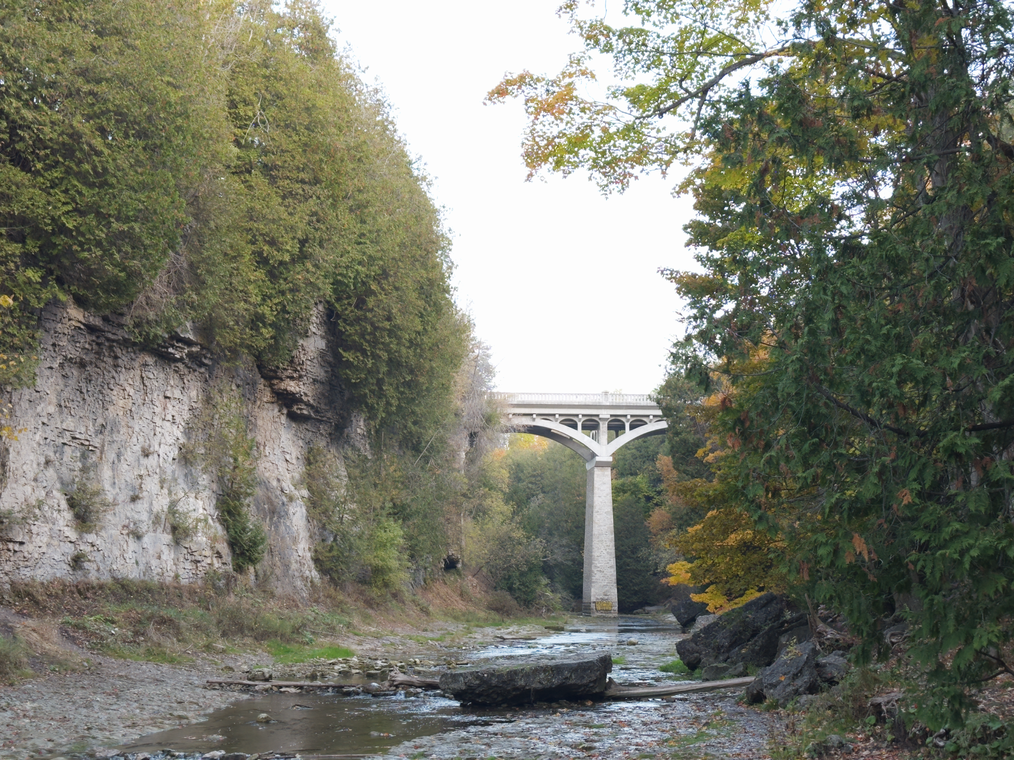 A concrete arch bridge crossing over a river surrounded by dense trees with autumn foliage.