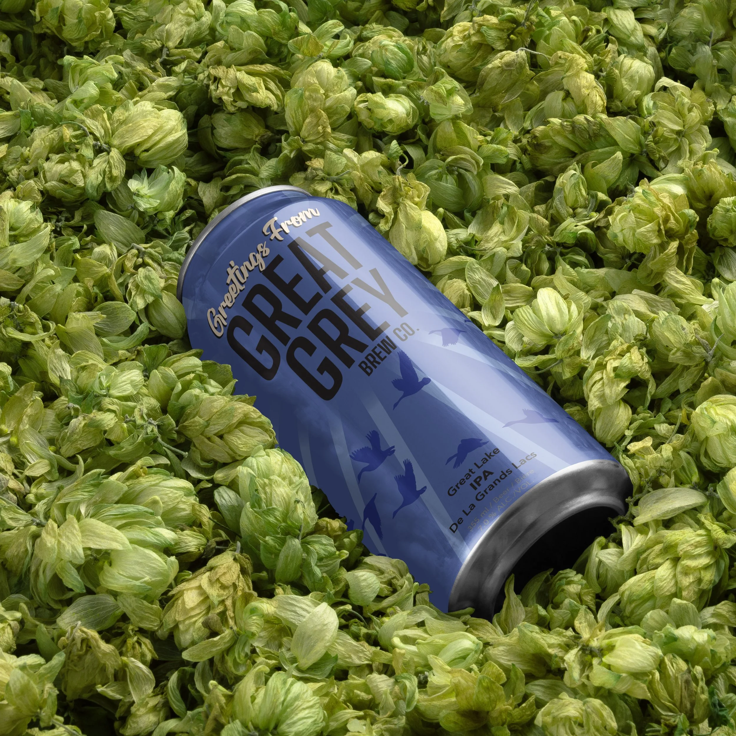 Beer can on hops