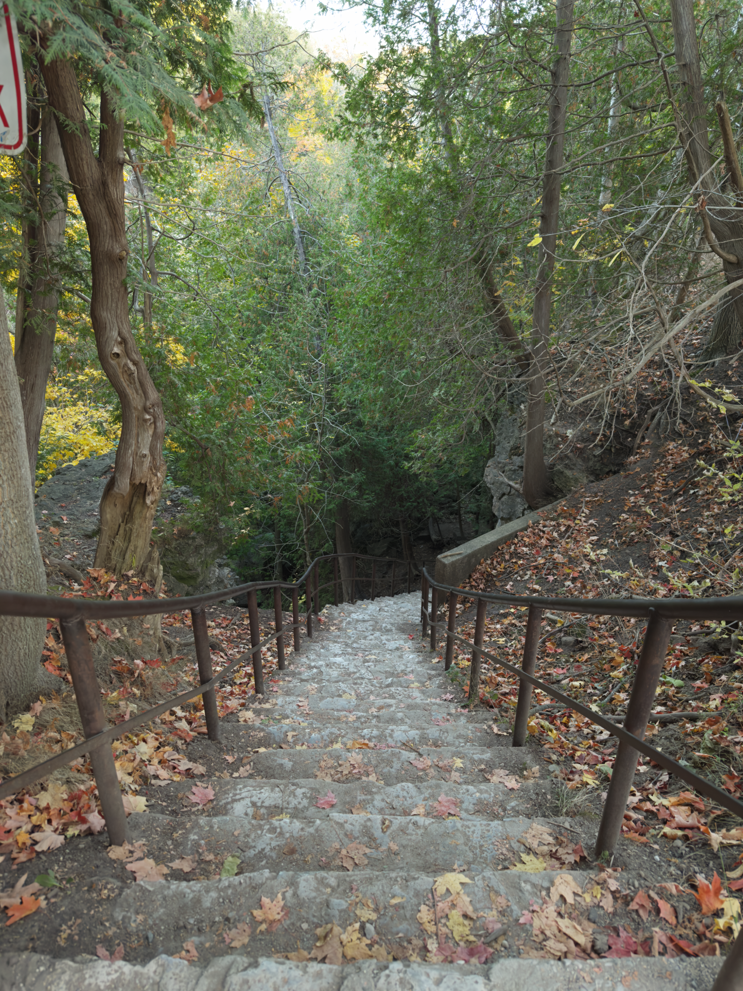 Stone stairs with metal railings leading down through a wooded area with green trees and fallen autumn leaves.