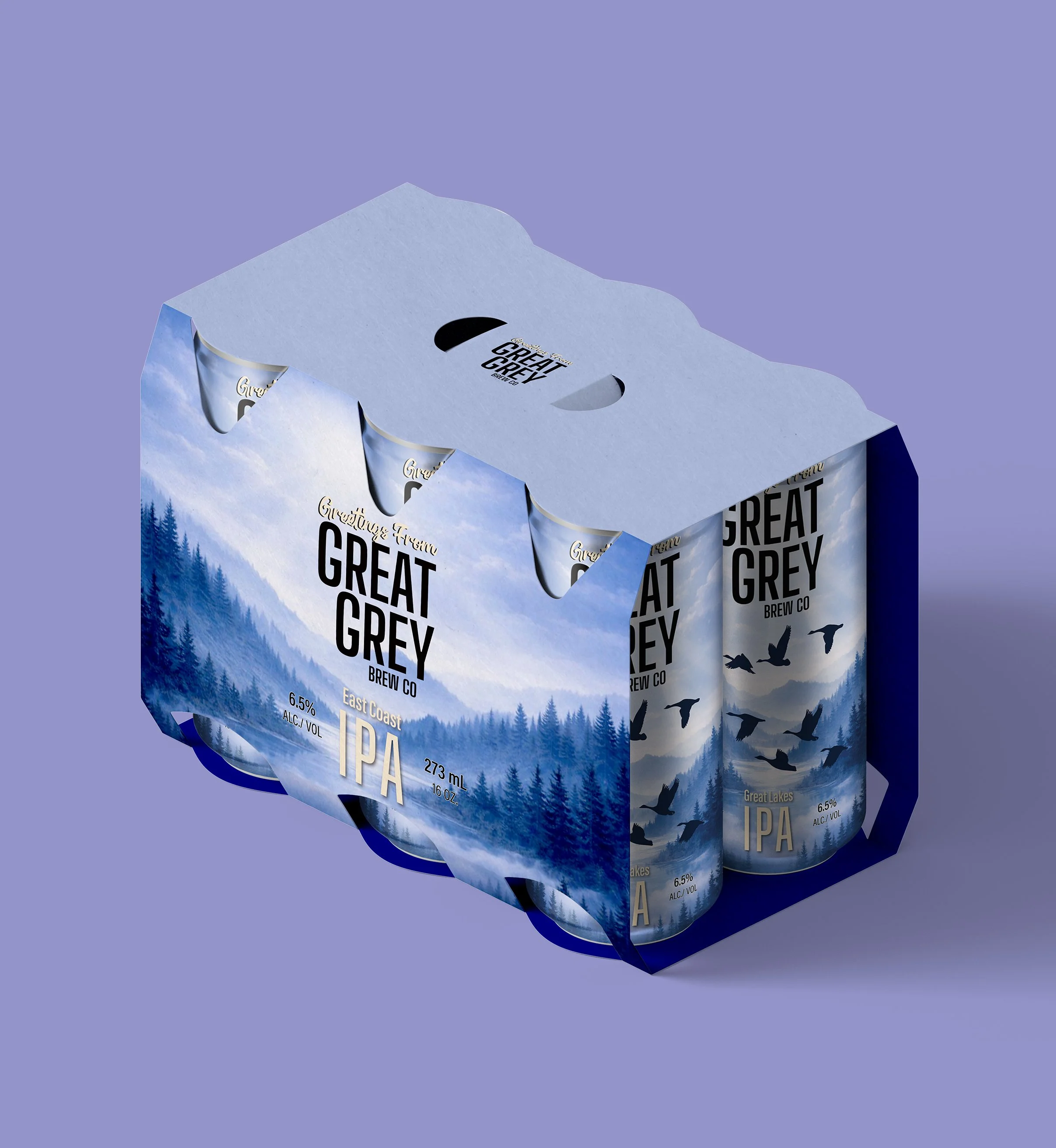 A six-pack of Great Grey Brew Co East Coast IPA cans in a cardboard carrier with mountain and forest design, set against a purple background.