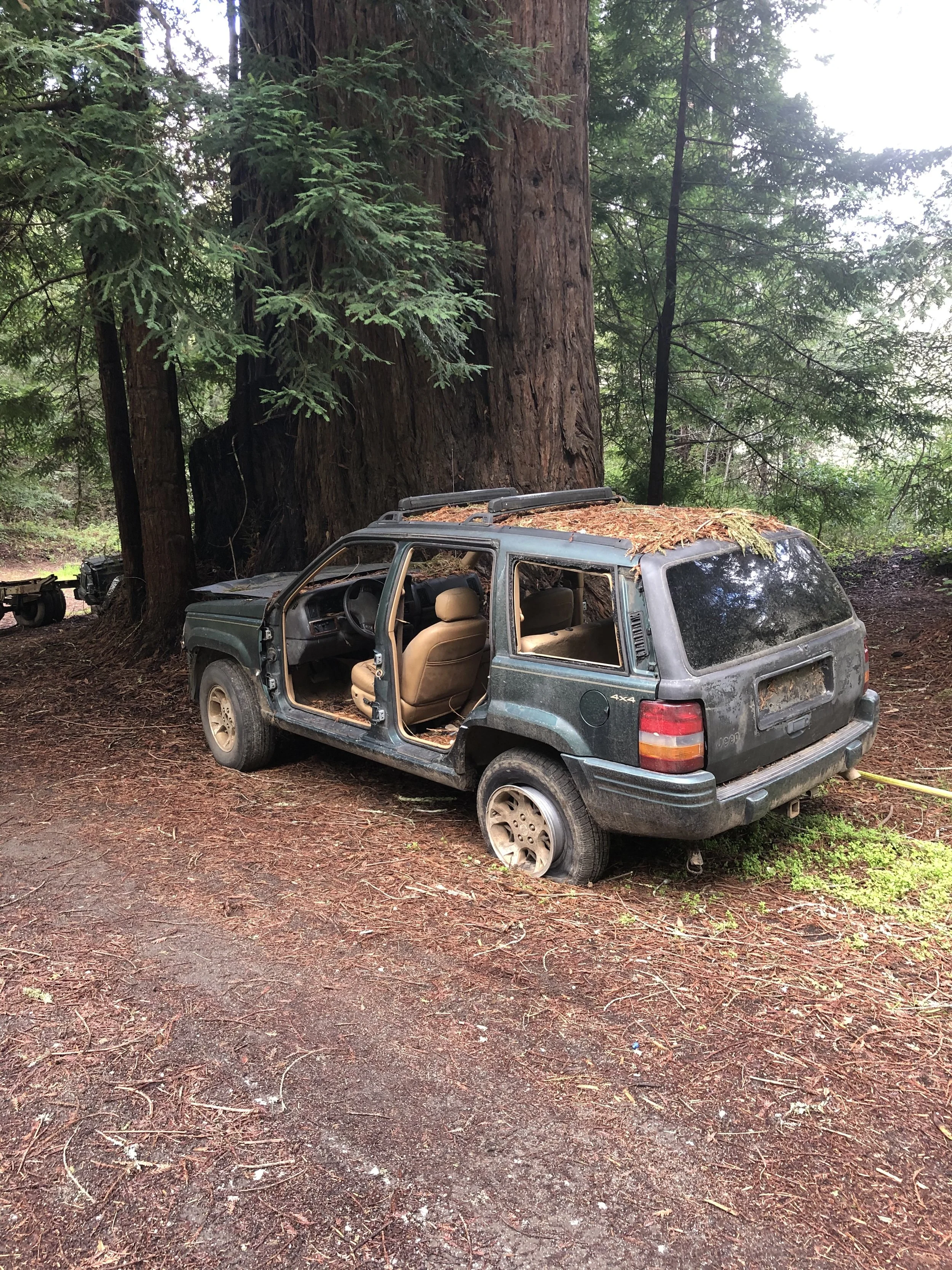 Why should someone arrested for driving under the influence request a hearing from the DMV?