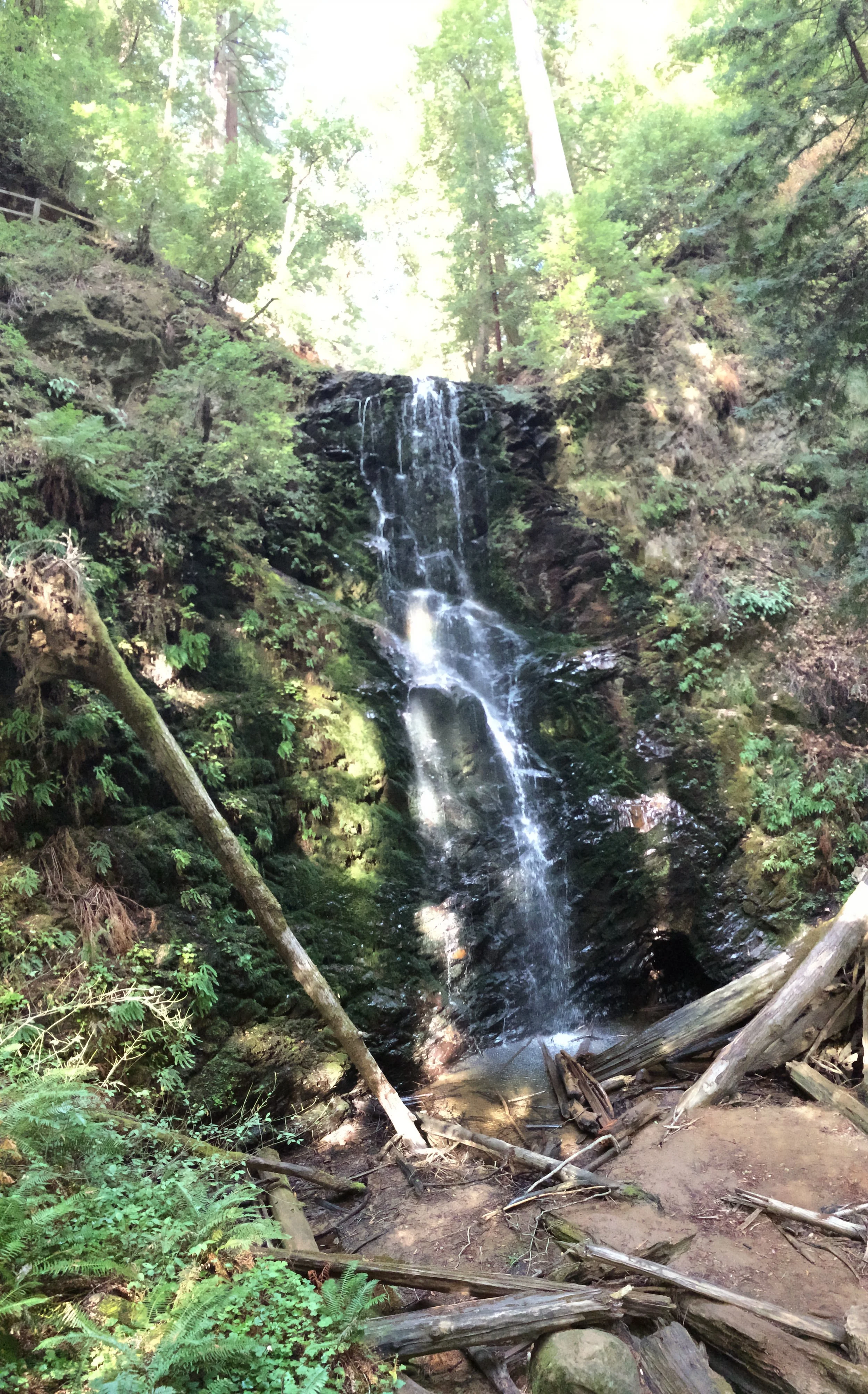 How can a DUI arrest affect my reputation?