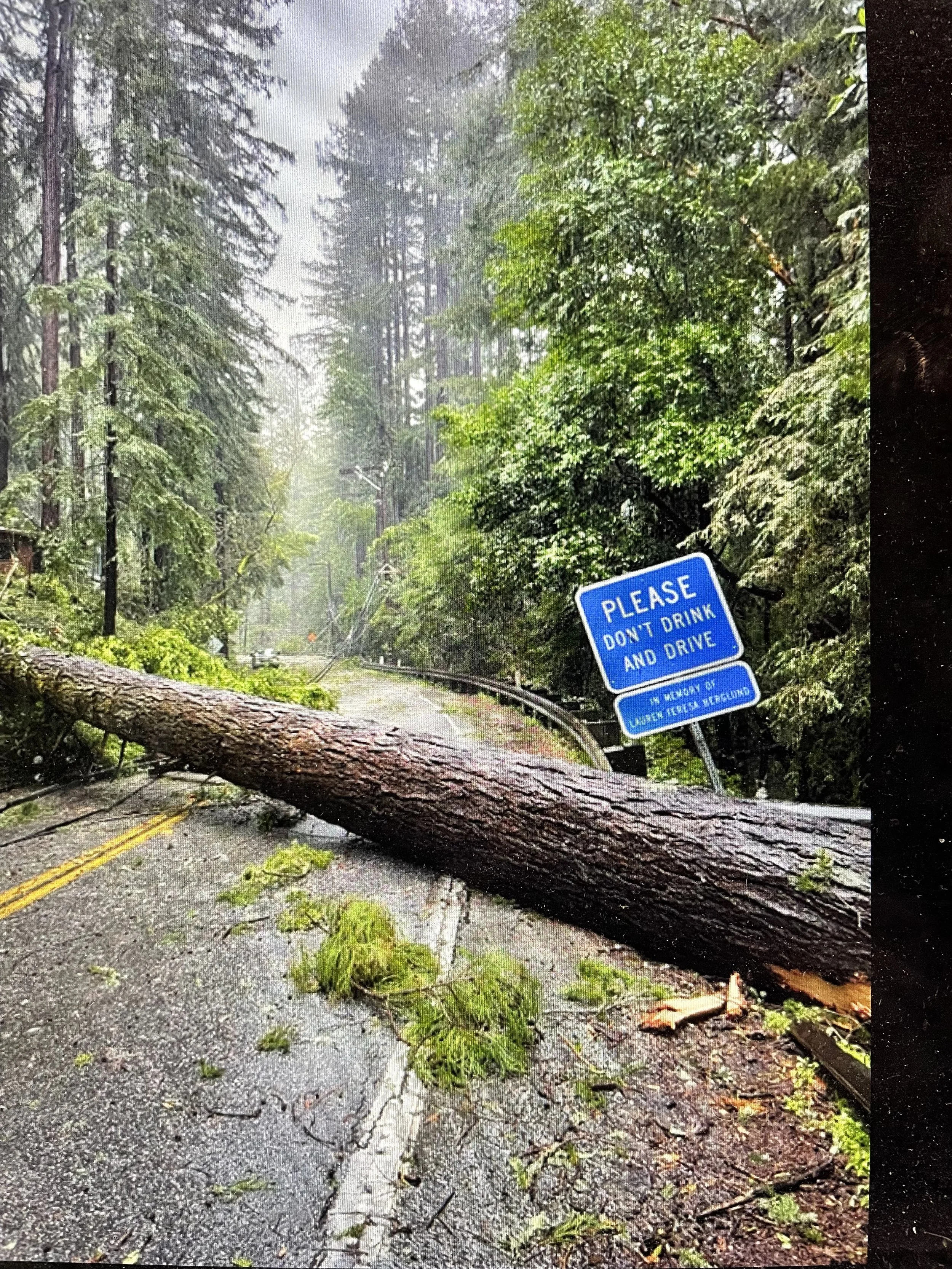 I got a DUI in Santa Cruz, now what?