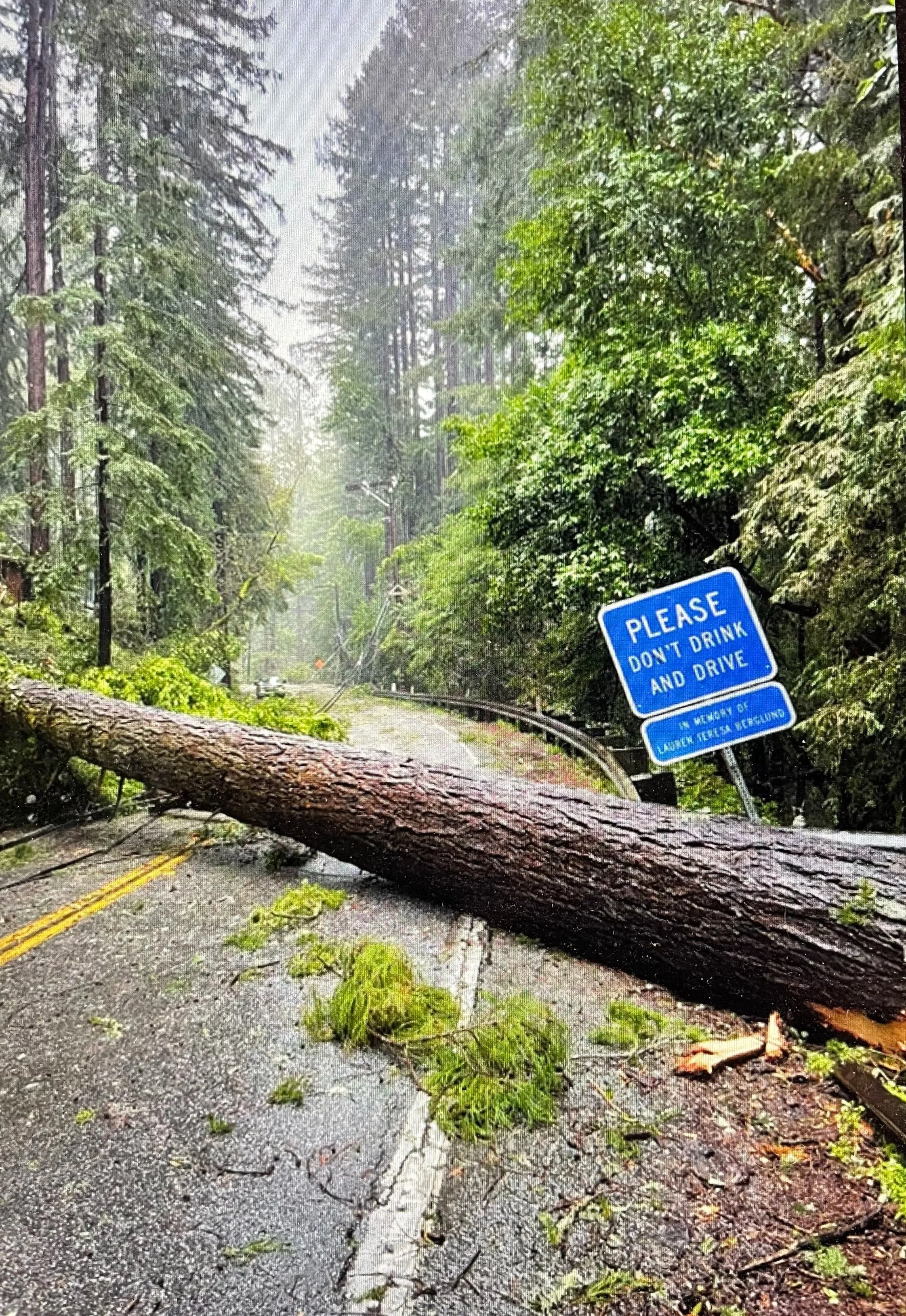 I got a DUI in Santa Cruz, now what?