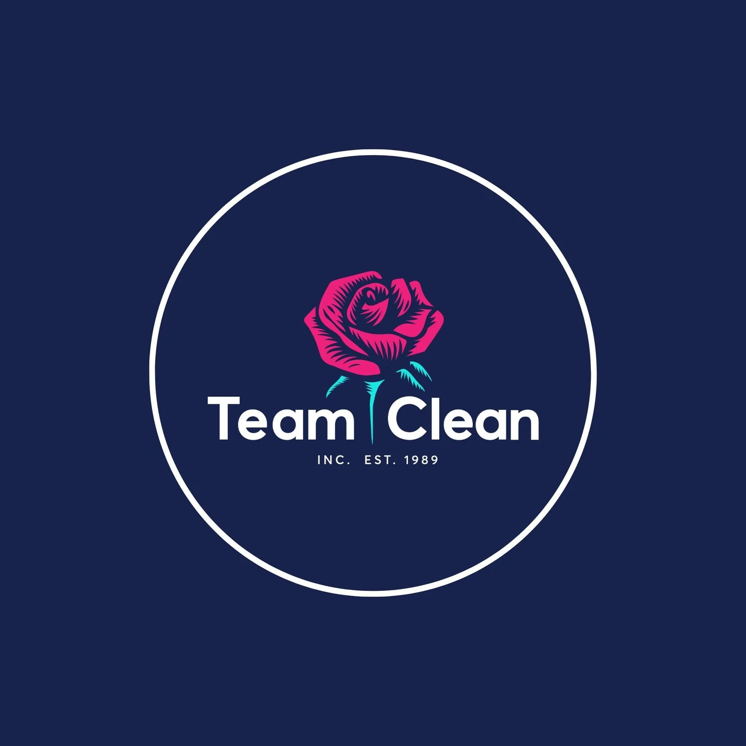 Team Clean