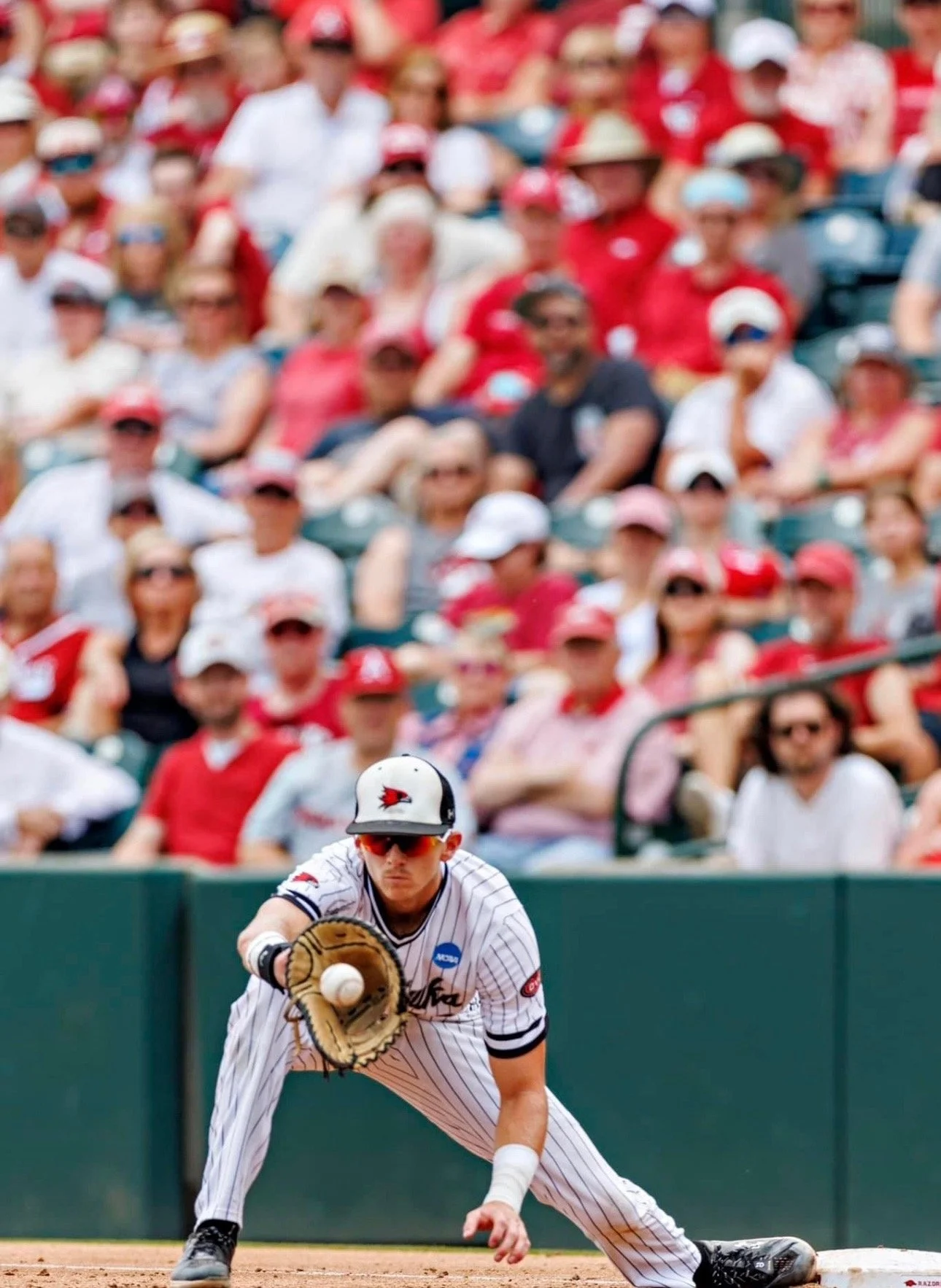 Bryce Cannon in a striped uniform is fielding a ball at a baseball game, with a crowd of spectators watching from the stands in the background.
