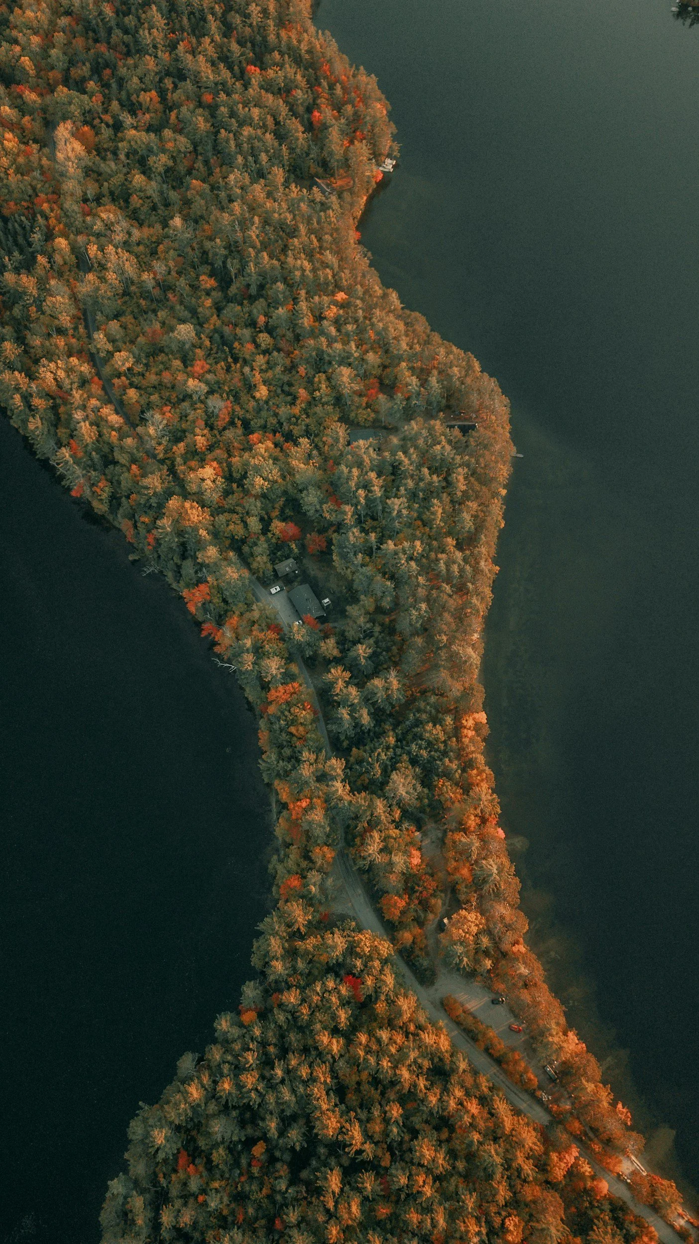 An aerial view of a narrow, tree-covered peninsula with fall foliage, surrounded by dark water, with some houses and vehicles visible.