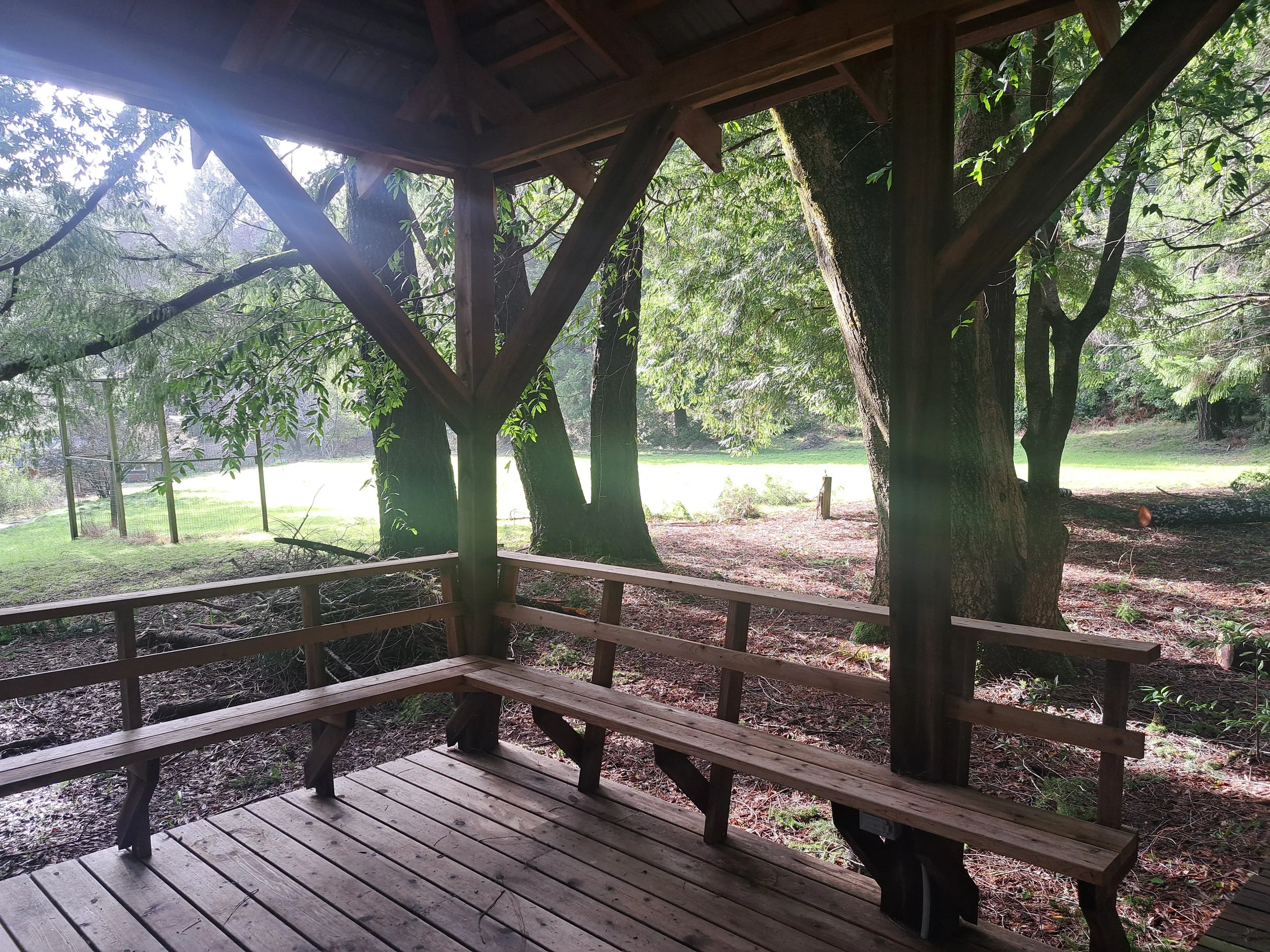 big field from gazebo