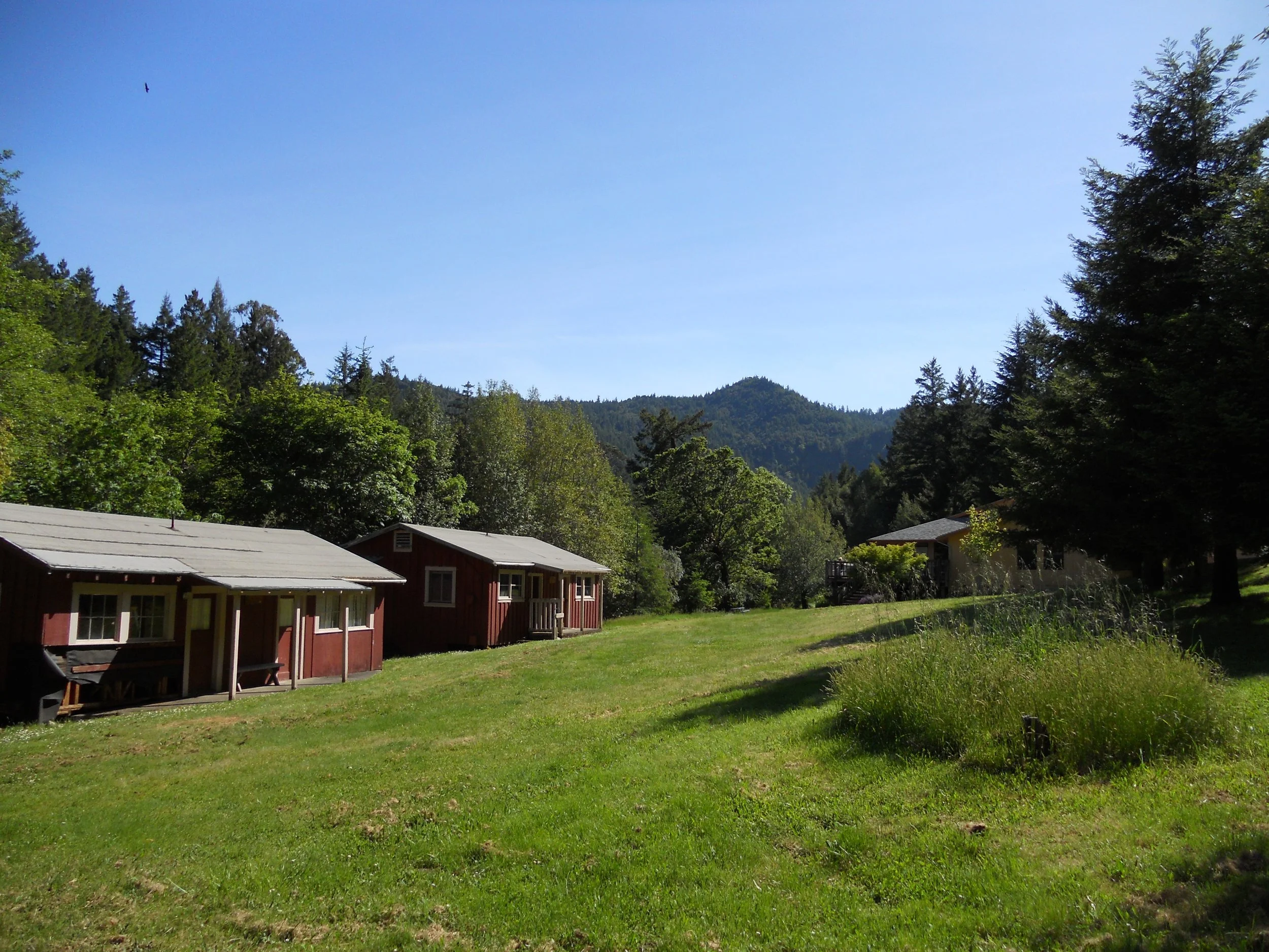 Cabins copy.jpg